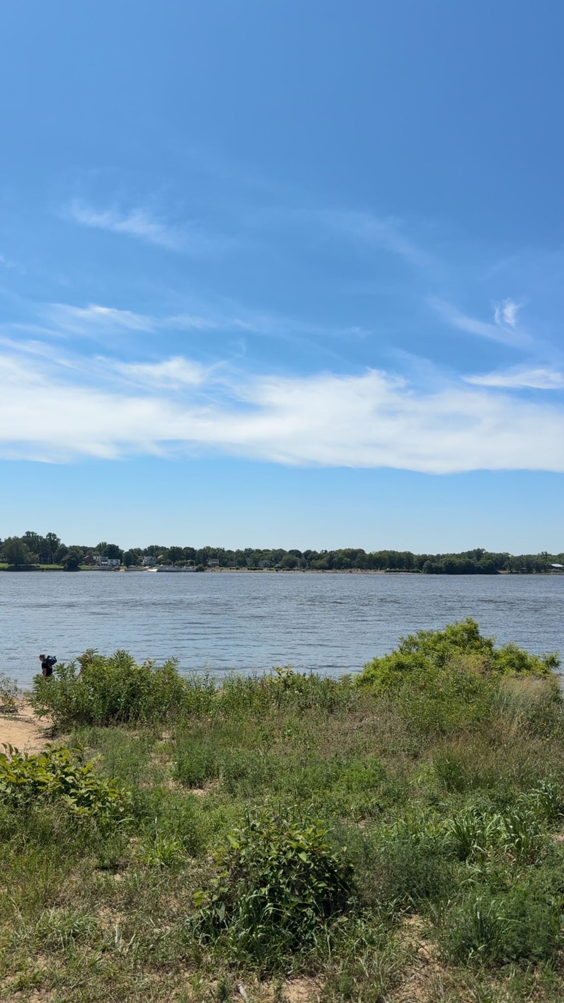 Sunny river scene with green banks, distant treeline, and a person. - River Walk Loop