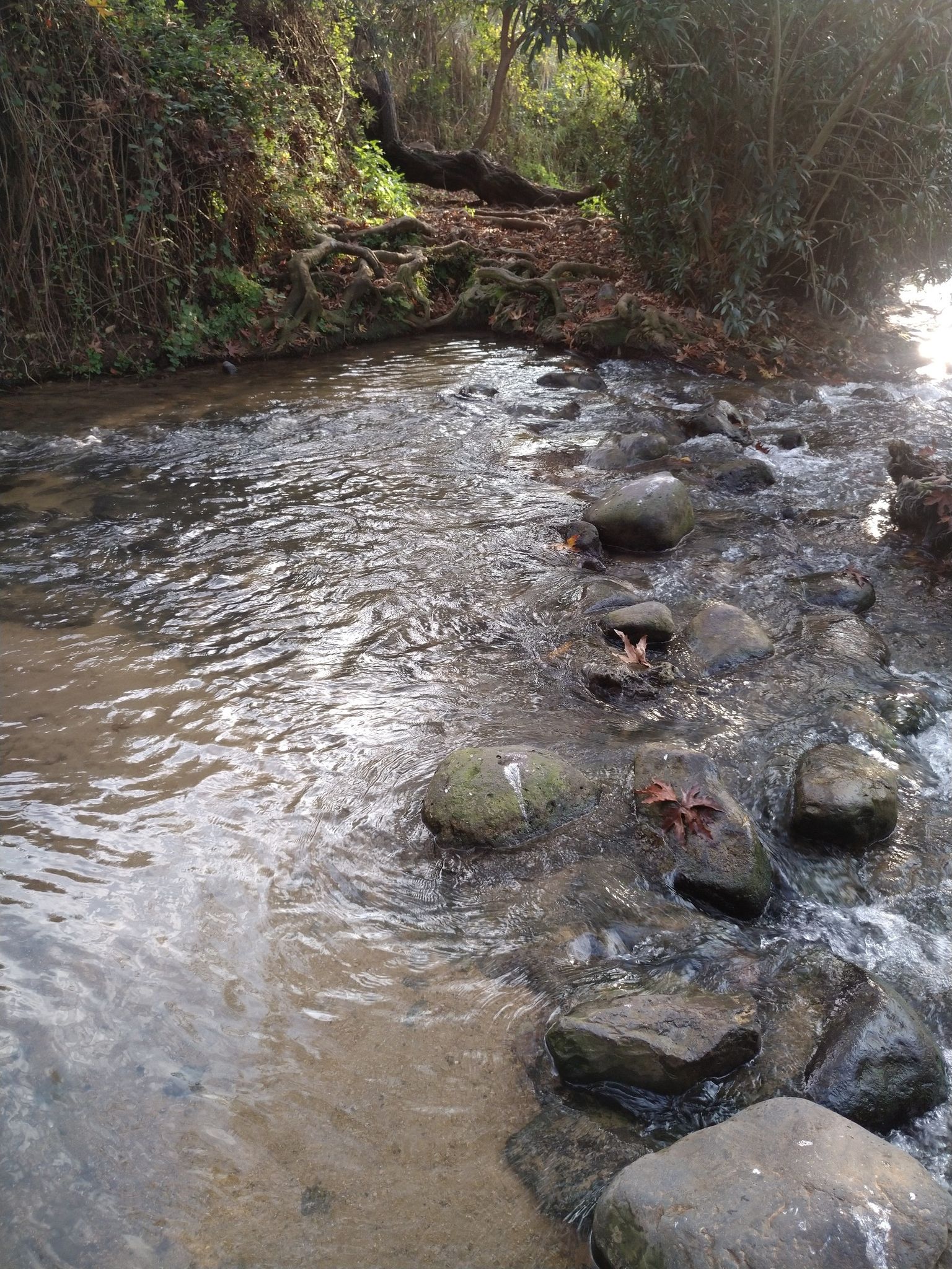 another River crossing