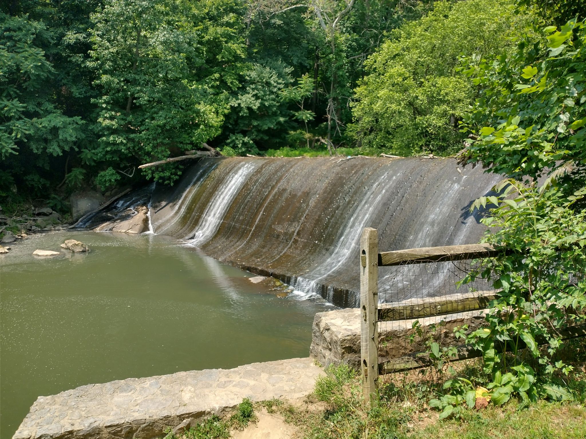 Water flows over a wide dam into a calm river, surrounded by green trees. - Northwest Branch Trail