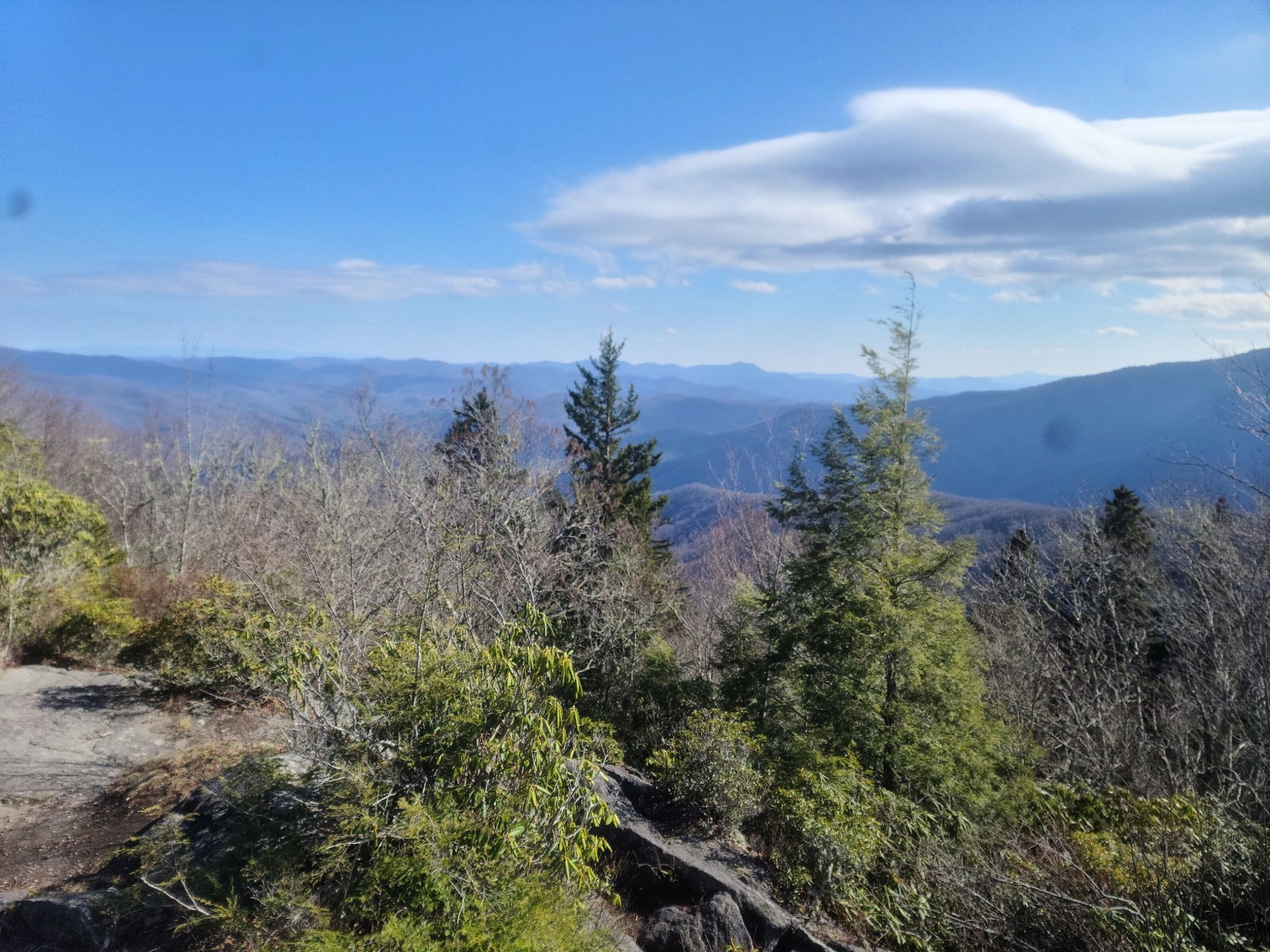 Mountain vista with evergreen trees in foreground under a blue sky. - Mt. Cammerer Lookout Tower – Mount Cammerer Trail loop from Cosby