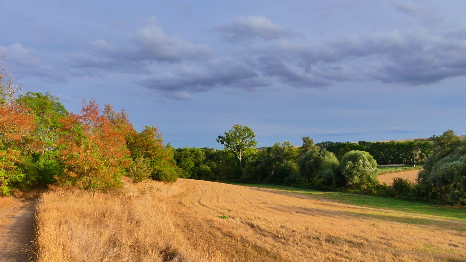schöne Landschaft entschädigt für den buckligen Weg