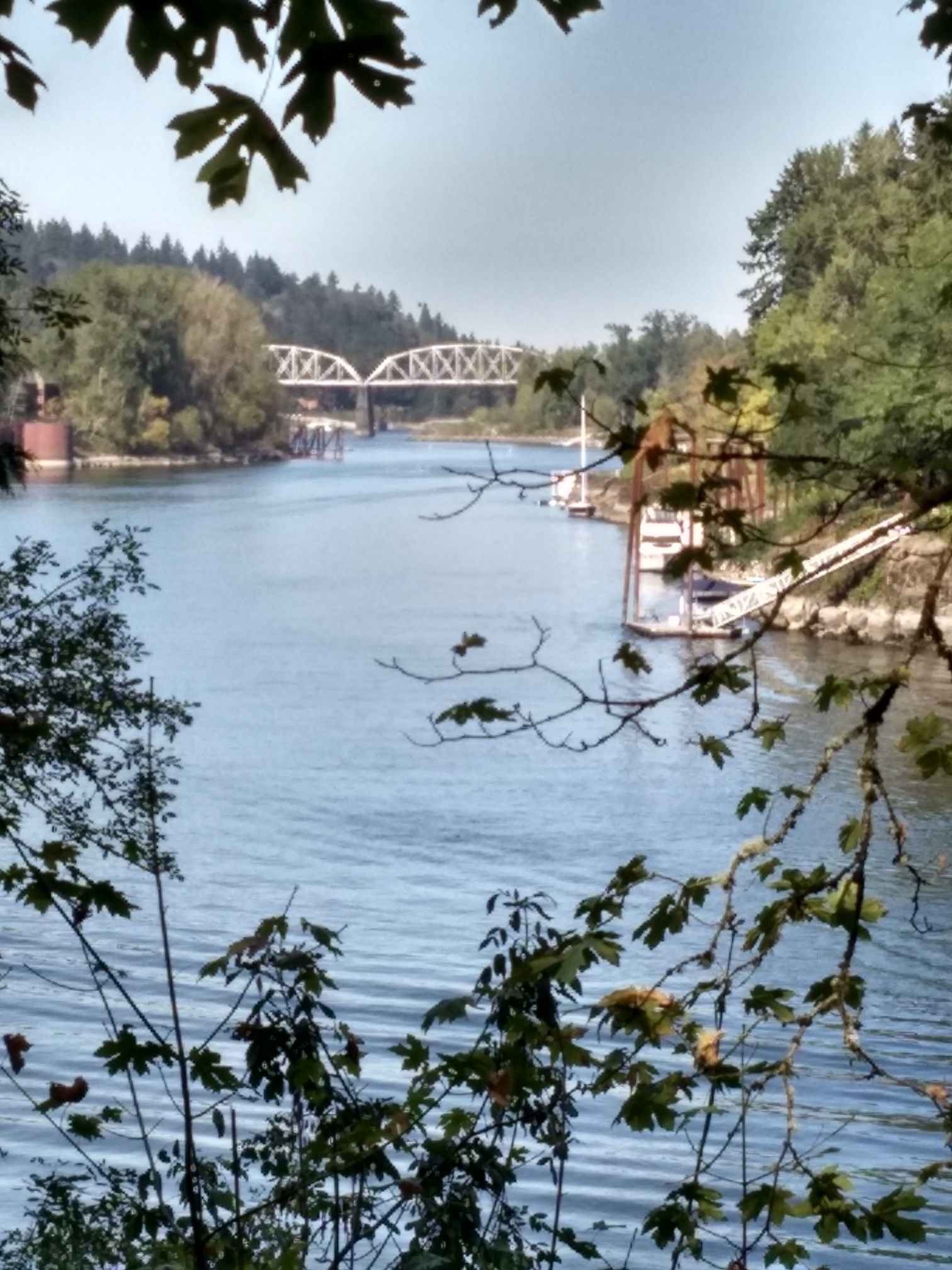 A wide river with a distant bridge, framed by lush green trees and boats. - Willamette Greenway Trail