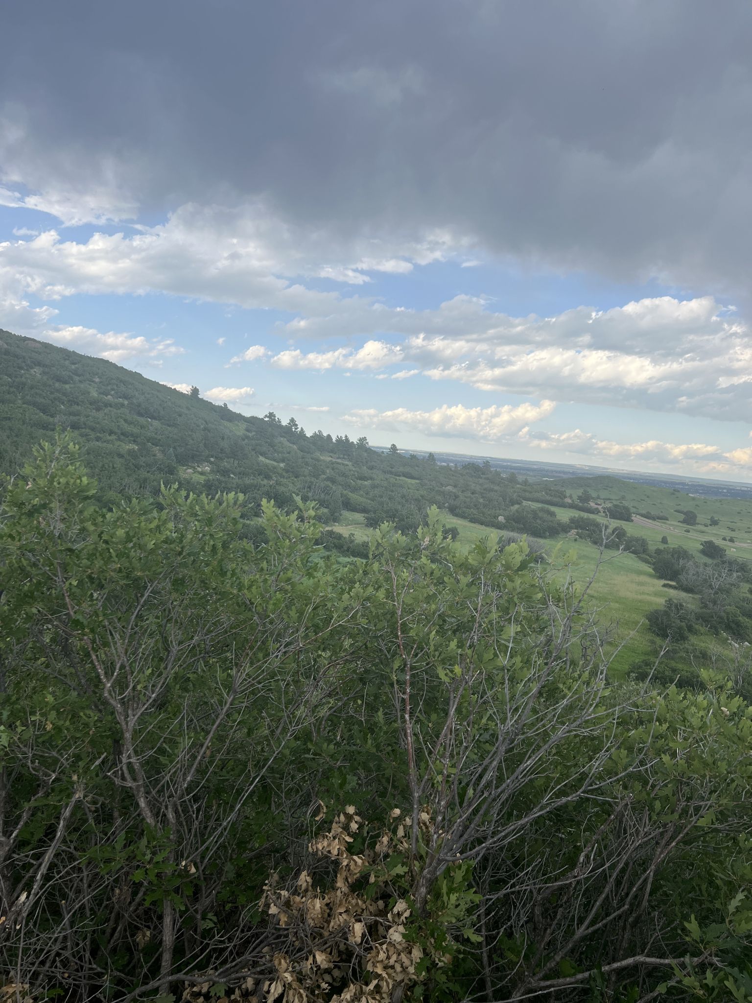 Lush green hillside overlooking a valley under a cloudy sky. - Zook Loop