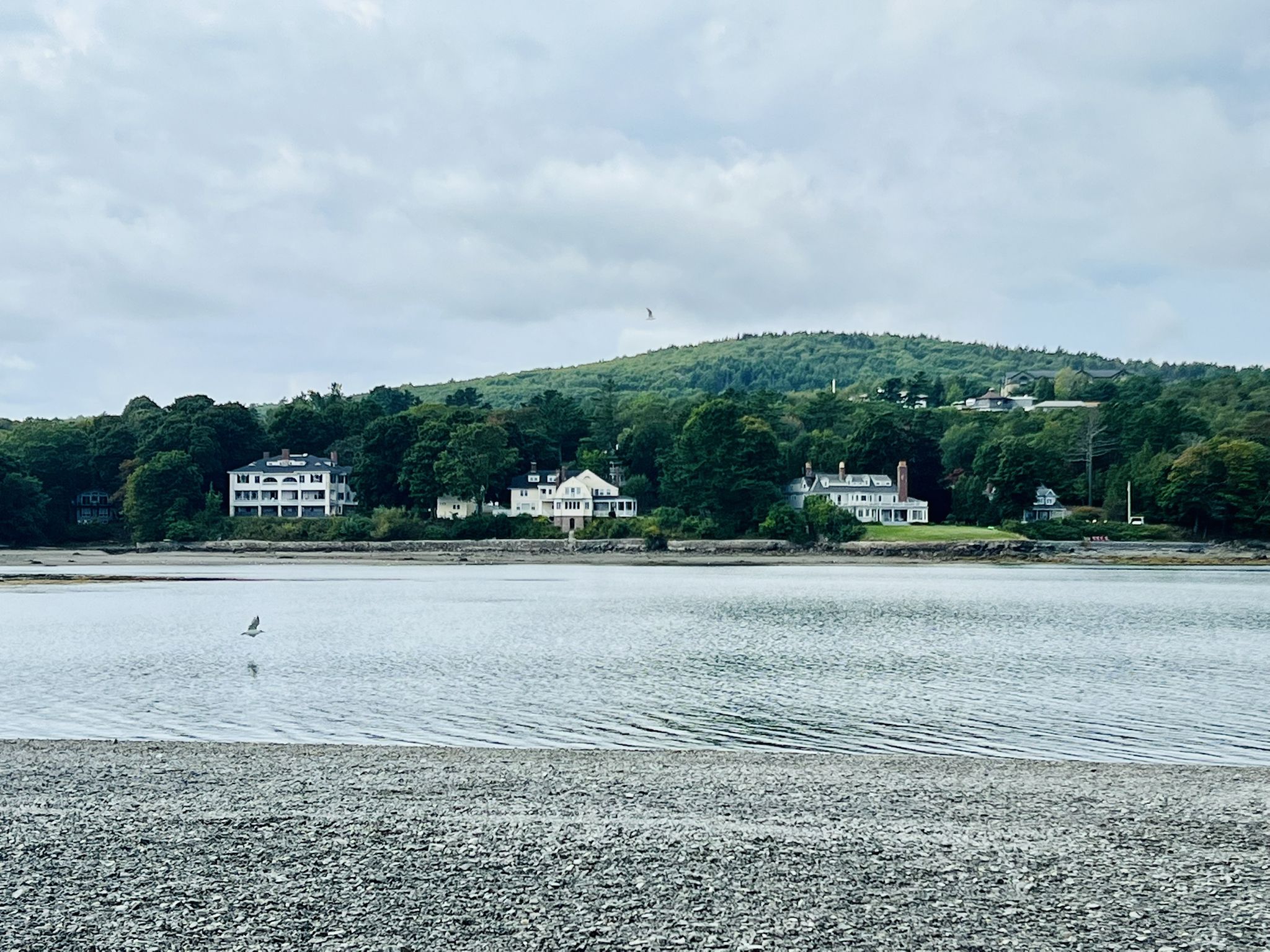 Distant houses nestled in green trees along a calm body of water. - Bar Island Trail – Criterion Theatre loop from Bar Harbor