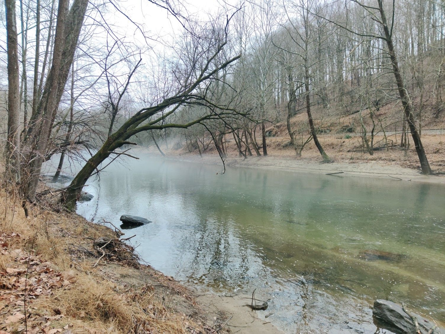 Misty river with bare trees and fallen leaves on an overcast day. - Views of Patapsco River – Daniels Dam Viewpoint loop from Patapsco Valley State Park
