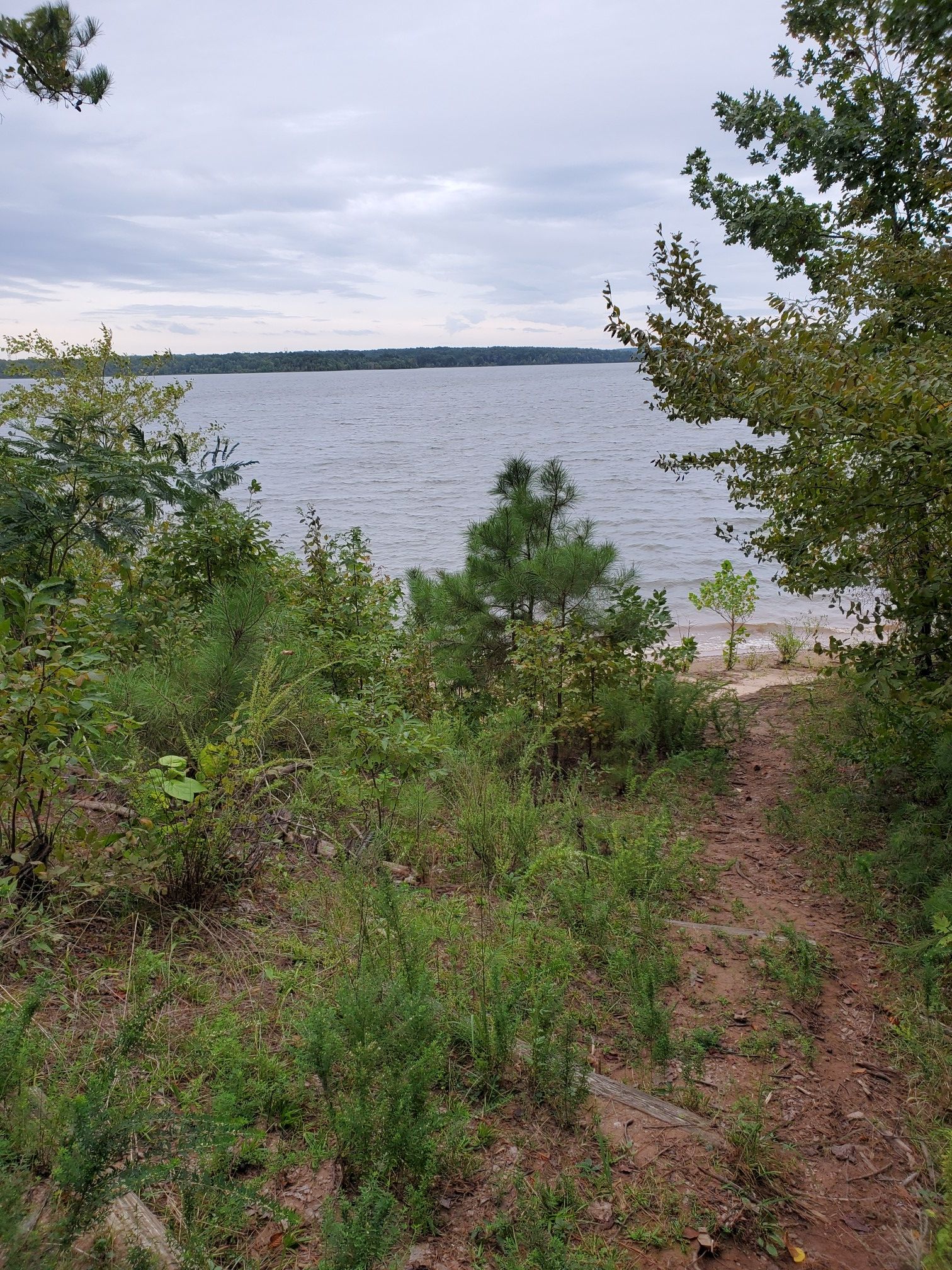 A path leads to a wide lake, surrounded by green bushes under an overcast sky. - Falls Lake Trail: Baptist Road to Santee Road