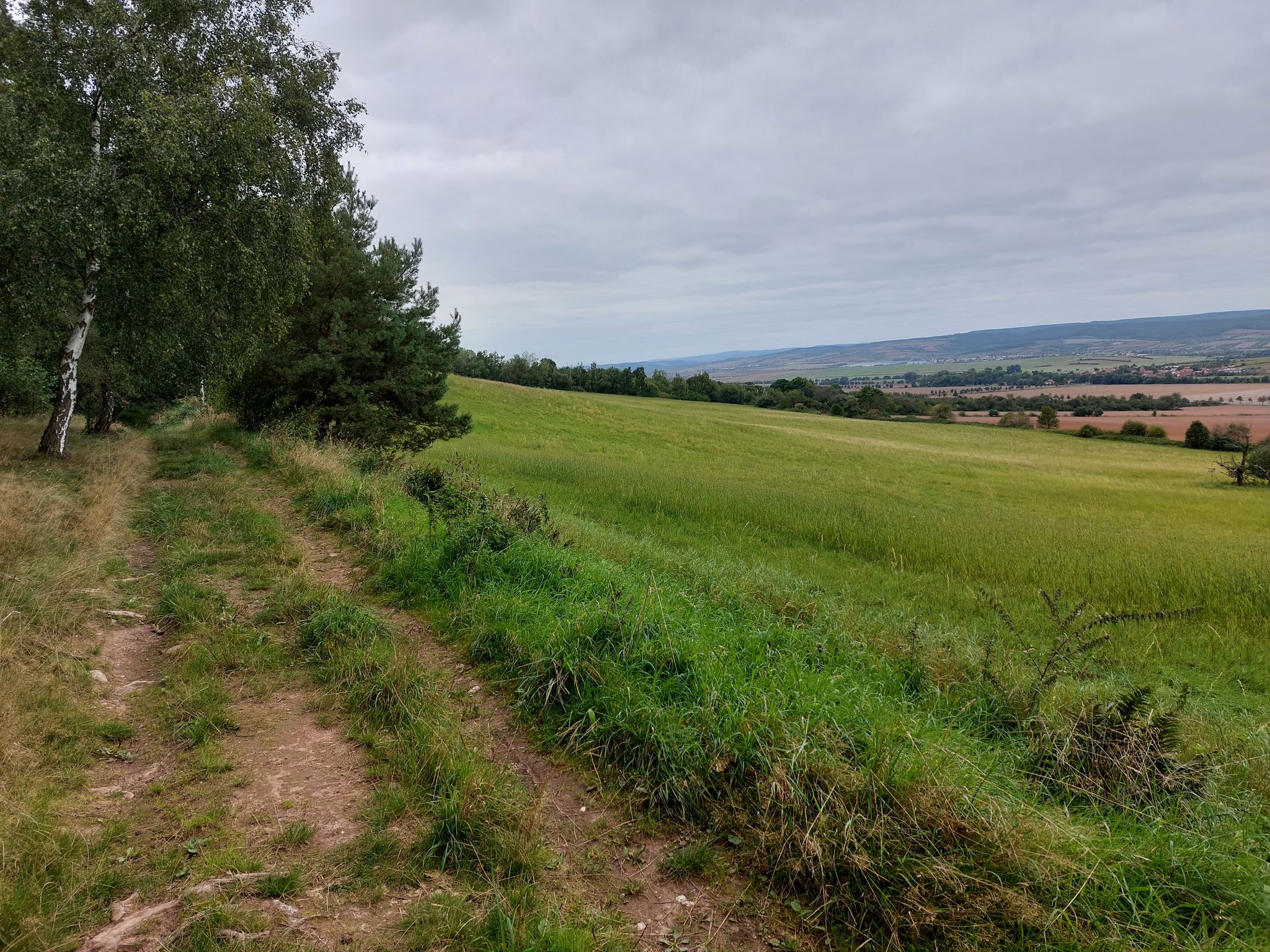 Weg unter dem Kyffhäuser