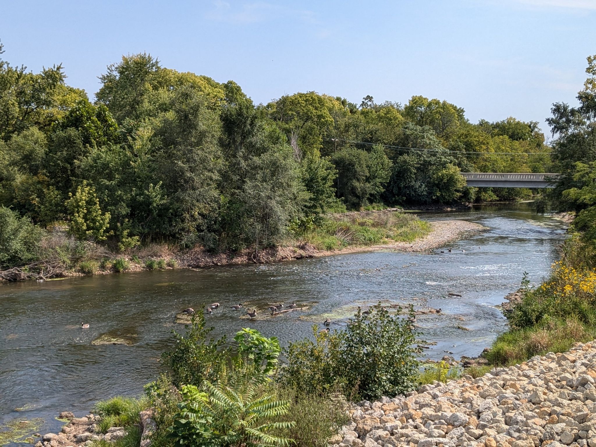 River with rocky banks, lush green trees, and a distant bridge under a clear sky. - Illinois & Michigan Canal State Trail