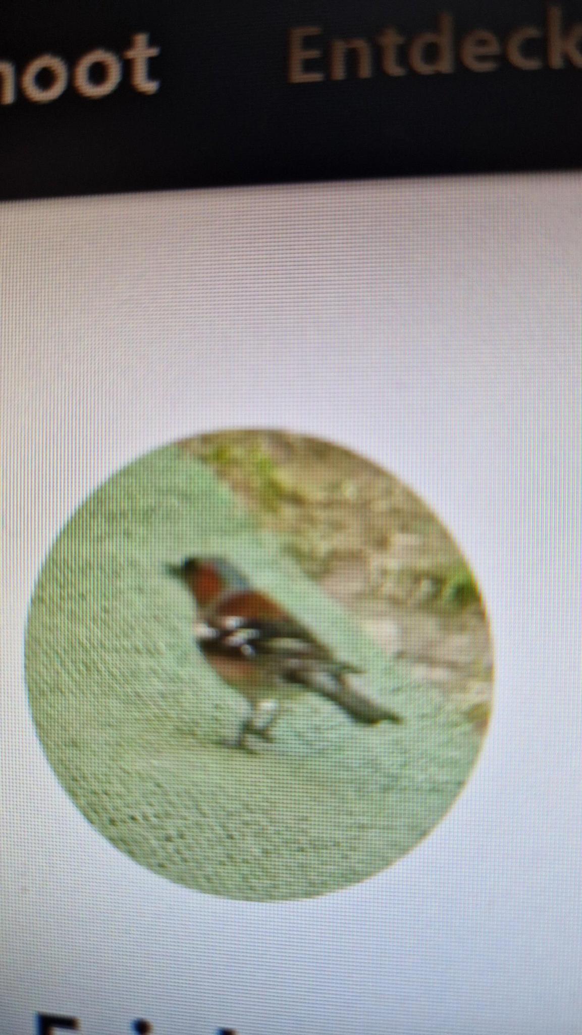 user avatar