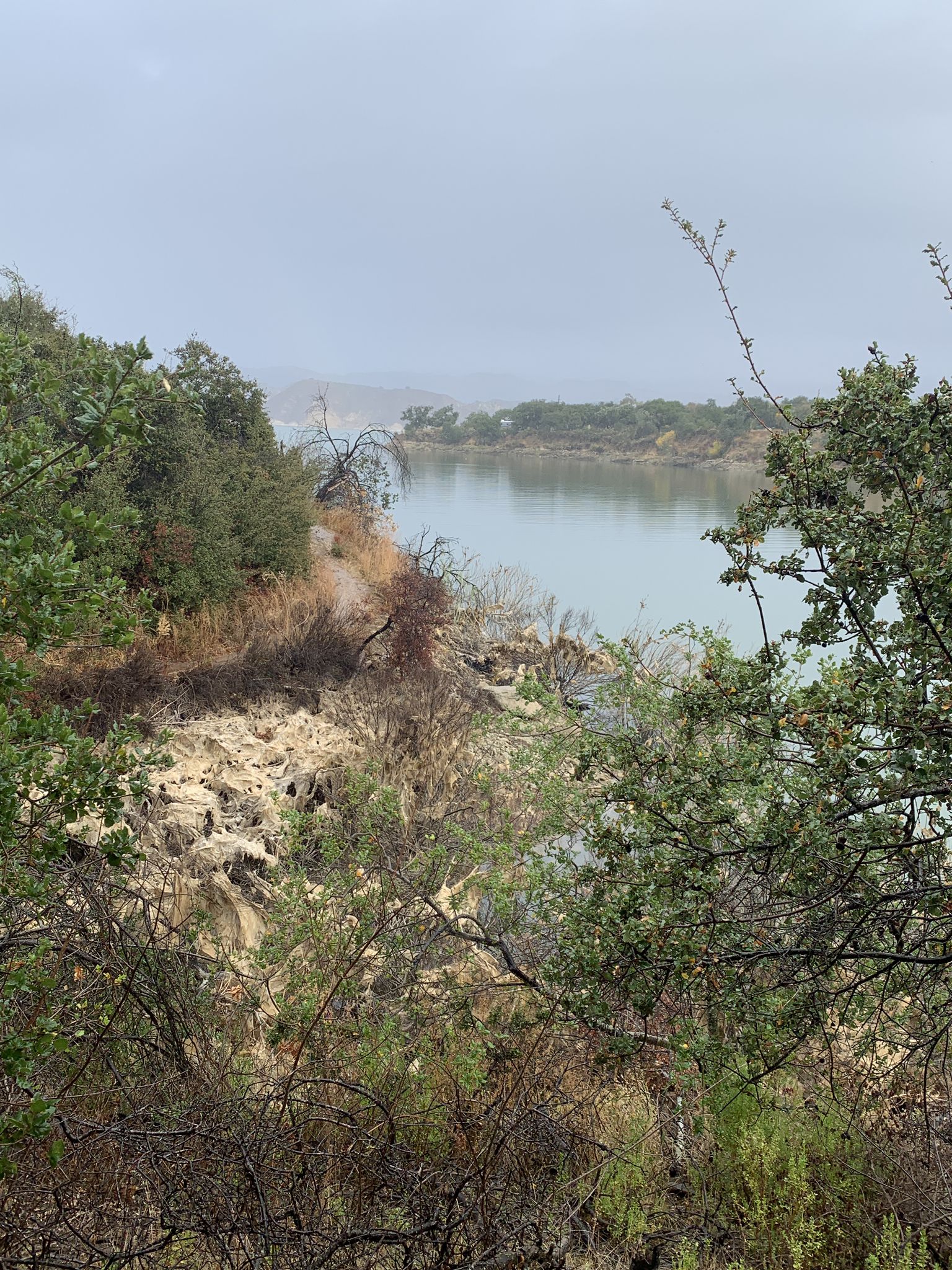 Hazy view of a lake through dense green and brown foliage. - Sweetwater Trail – Sweetwater Trail loop from Bradbury Dam