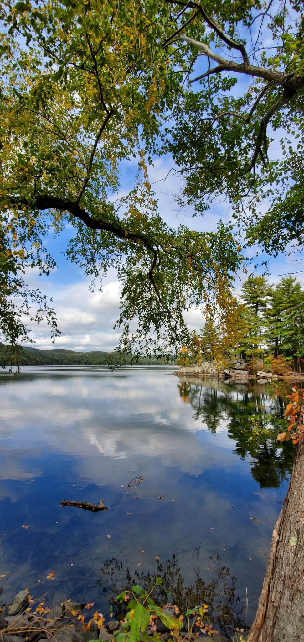 Calm lake reflecting blue sky, framed by green and autumn trees. - Fire Tower and Bare Rock Loop