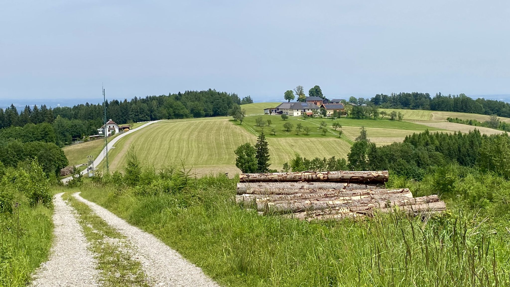 Auffahrt Himmelreich -> Blick auf Kogl