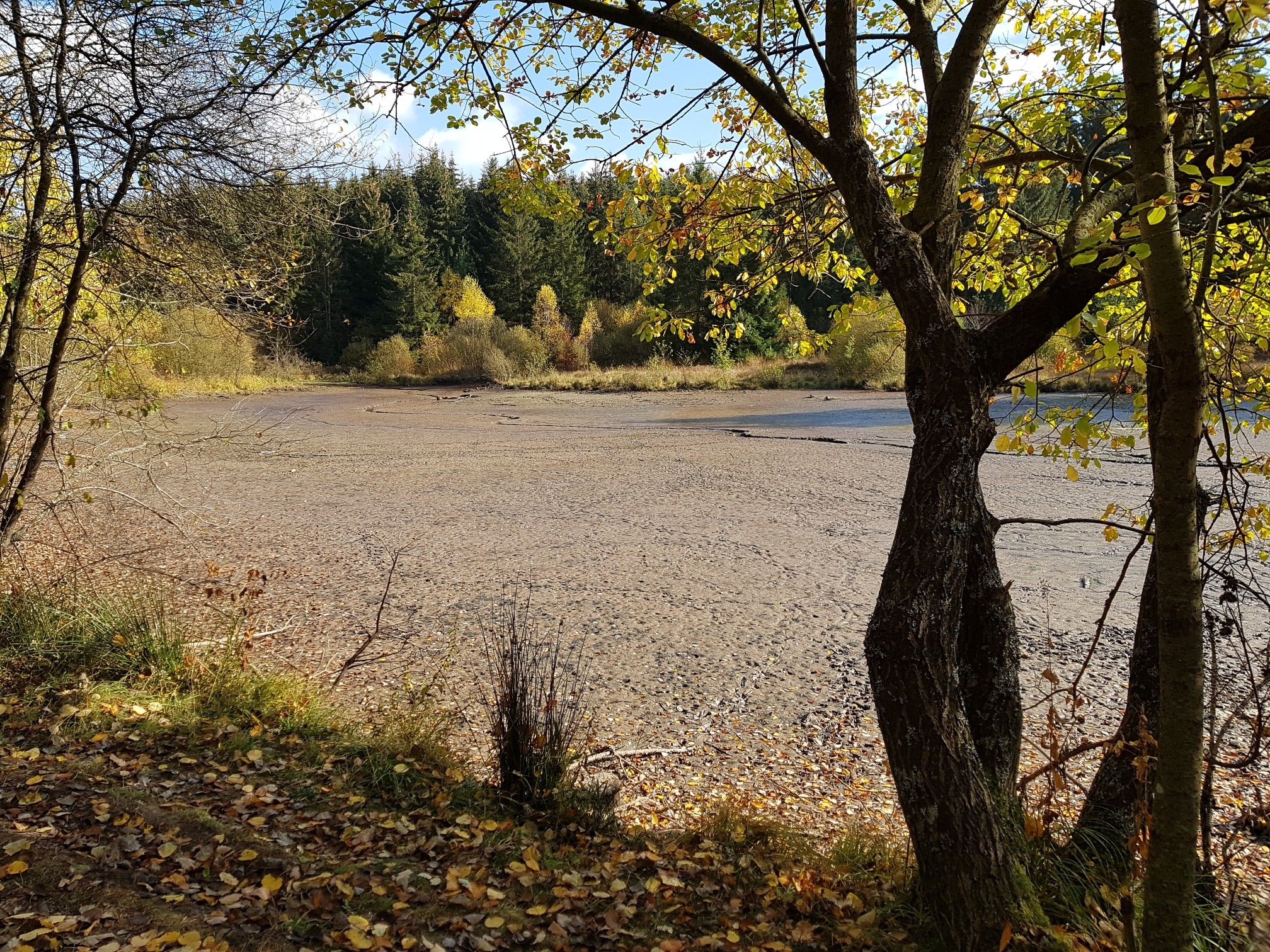 Vierter Nempheteich