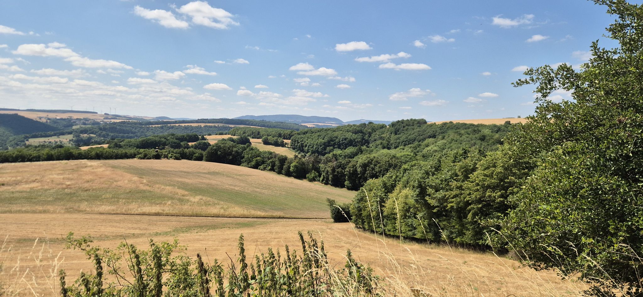 Weite Blicke über die Landschaft bis zum Donnersberg