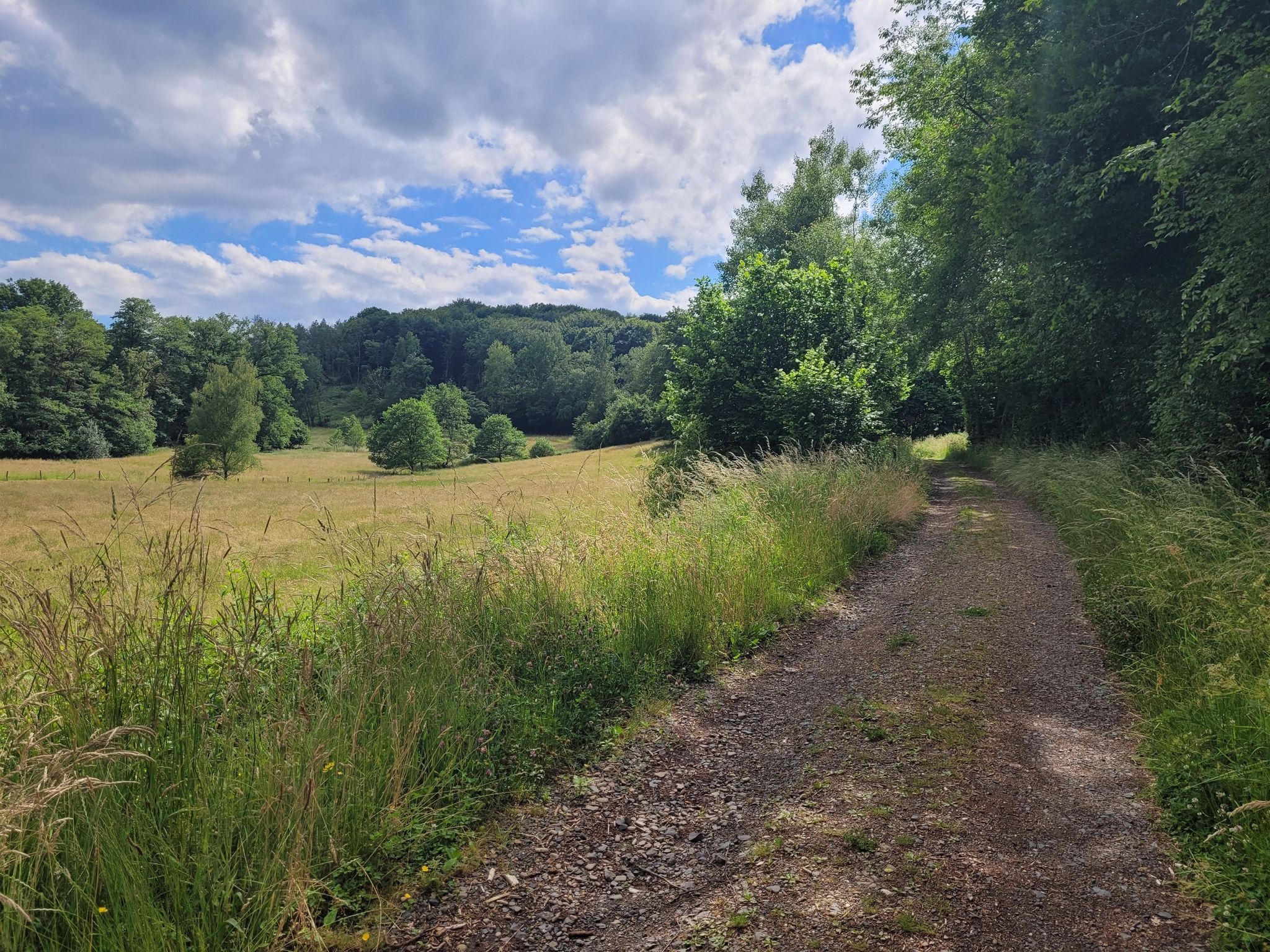 Im Tal des Ravensteiner Bachs