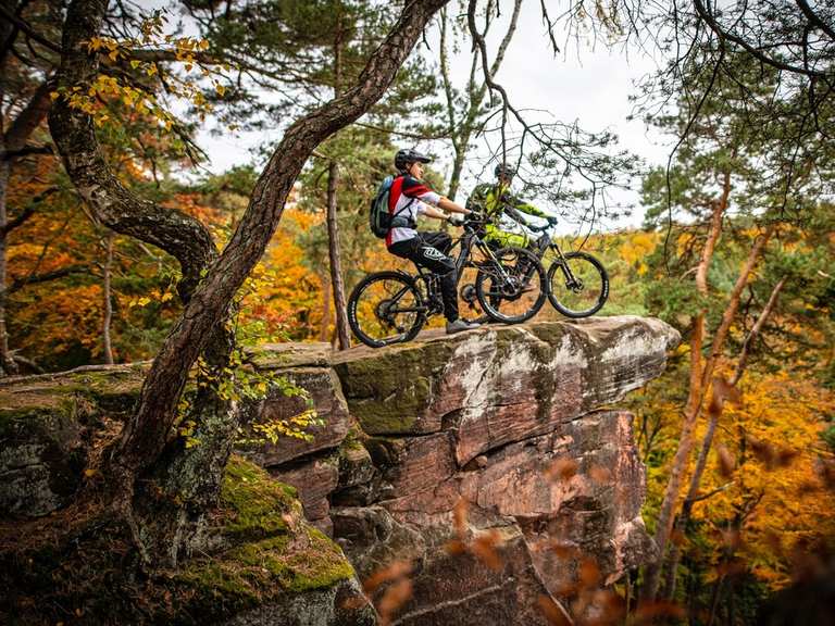Mountainbikepark Pflzerwald | Komoot