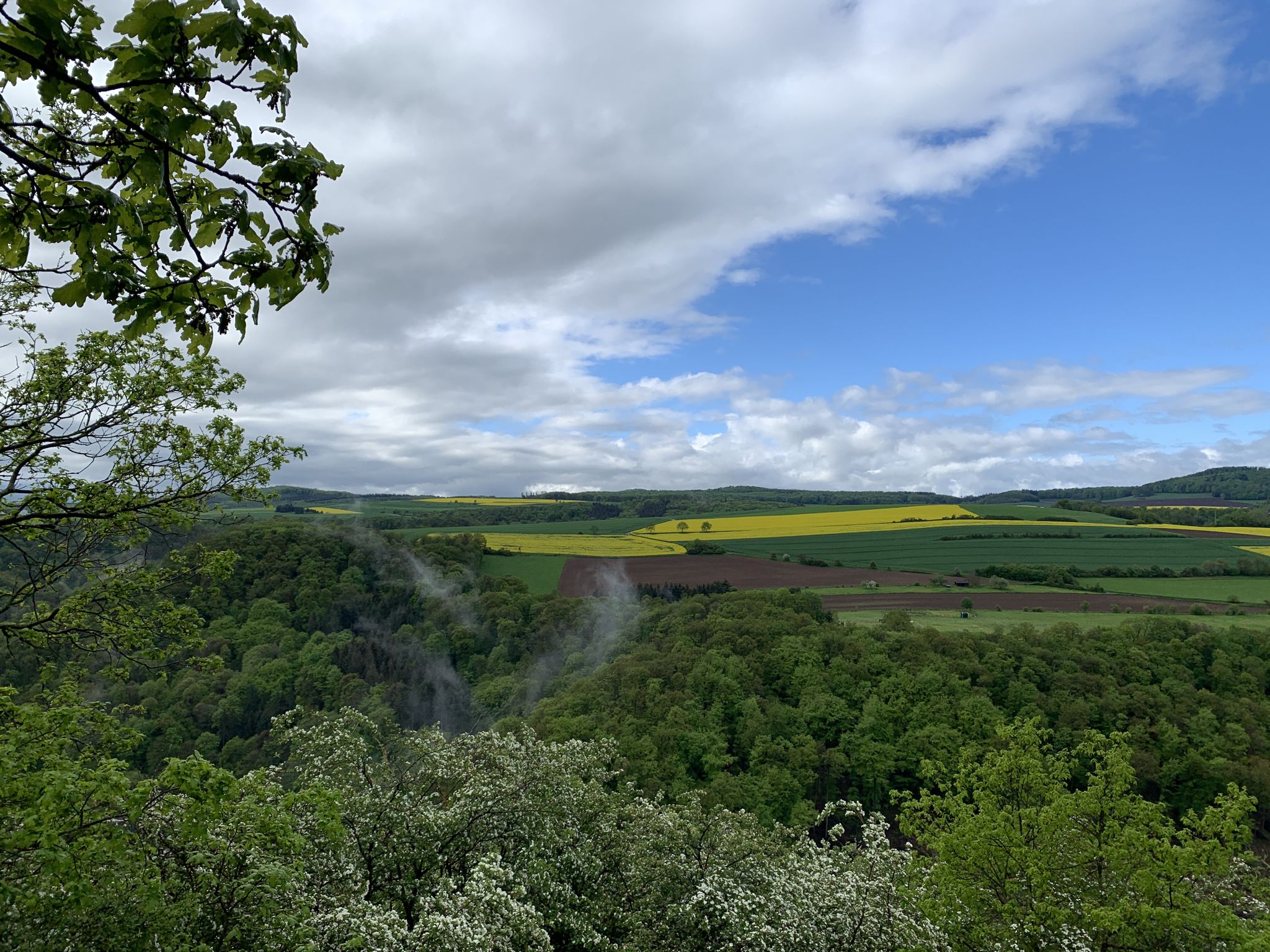 Blick von der Weinberg Hütte 