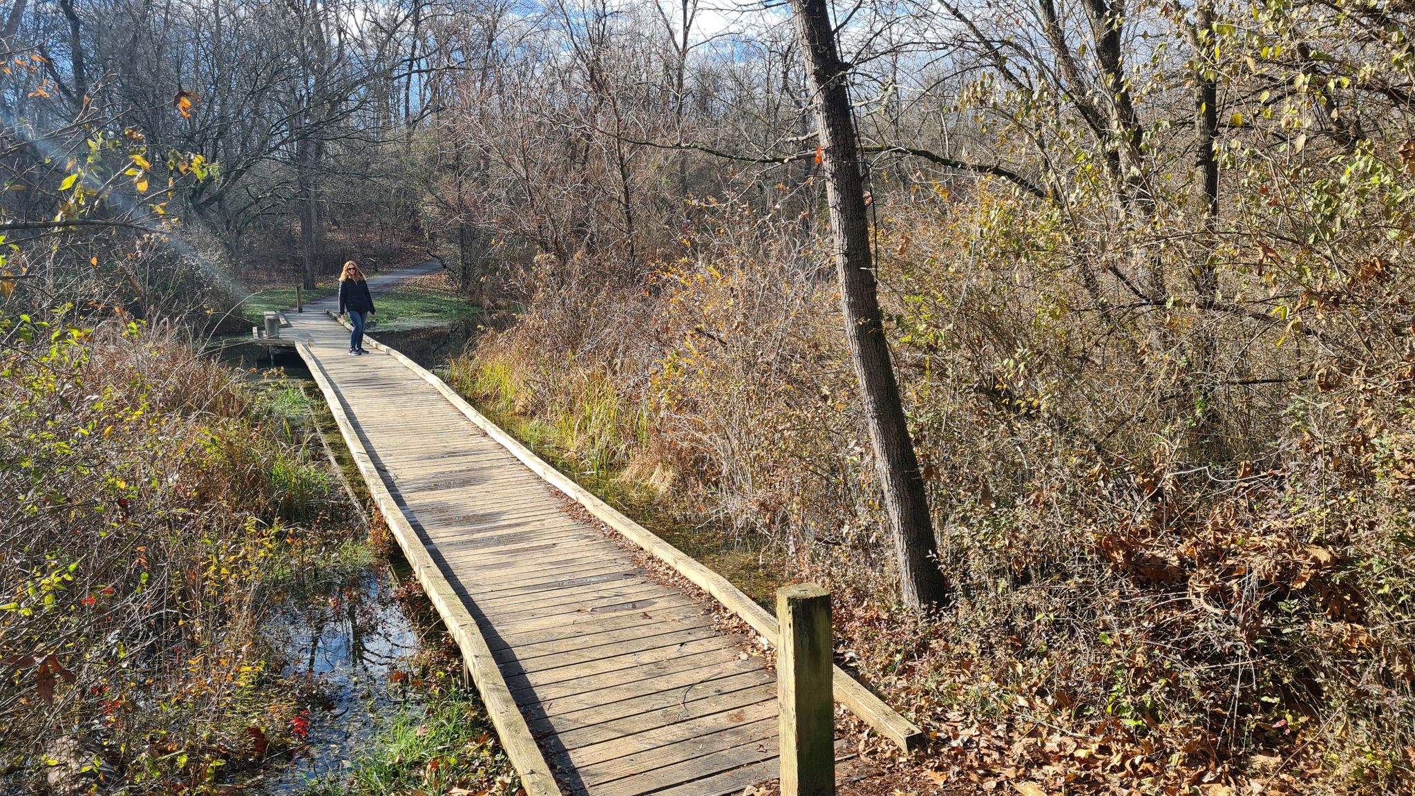 Woman walking on a wooden boardwalk over water, surrounded by autumn foliage. - View from the Wooden Bridge loop from Geodis