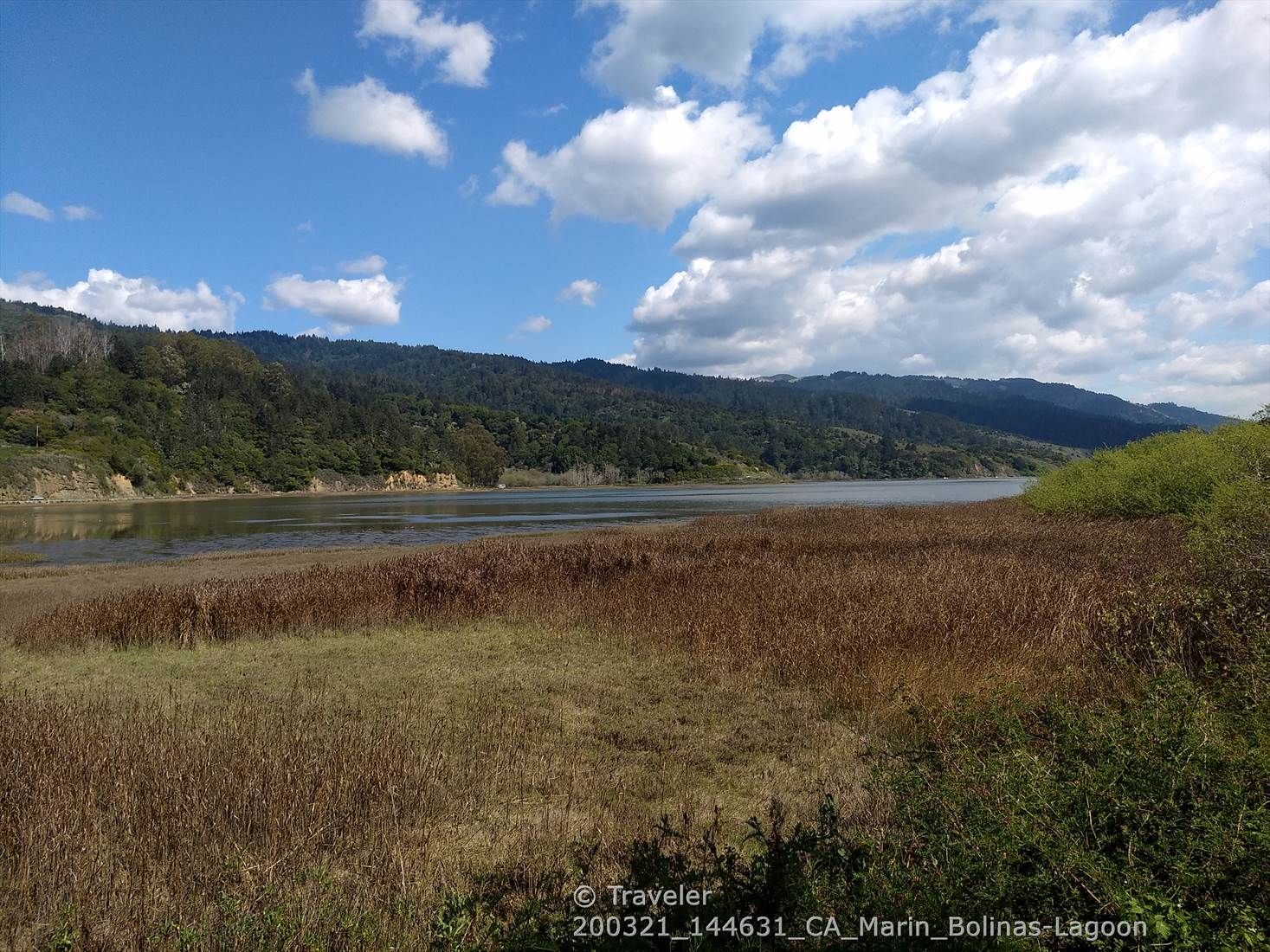 Calm lagoon with marshy foreground and forested hills under a bright sky. - Olema-Bolinas Road – Point Reyes Station loop from Bolinas