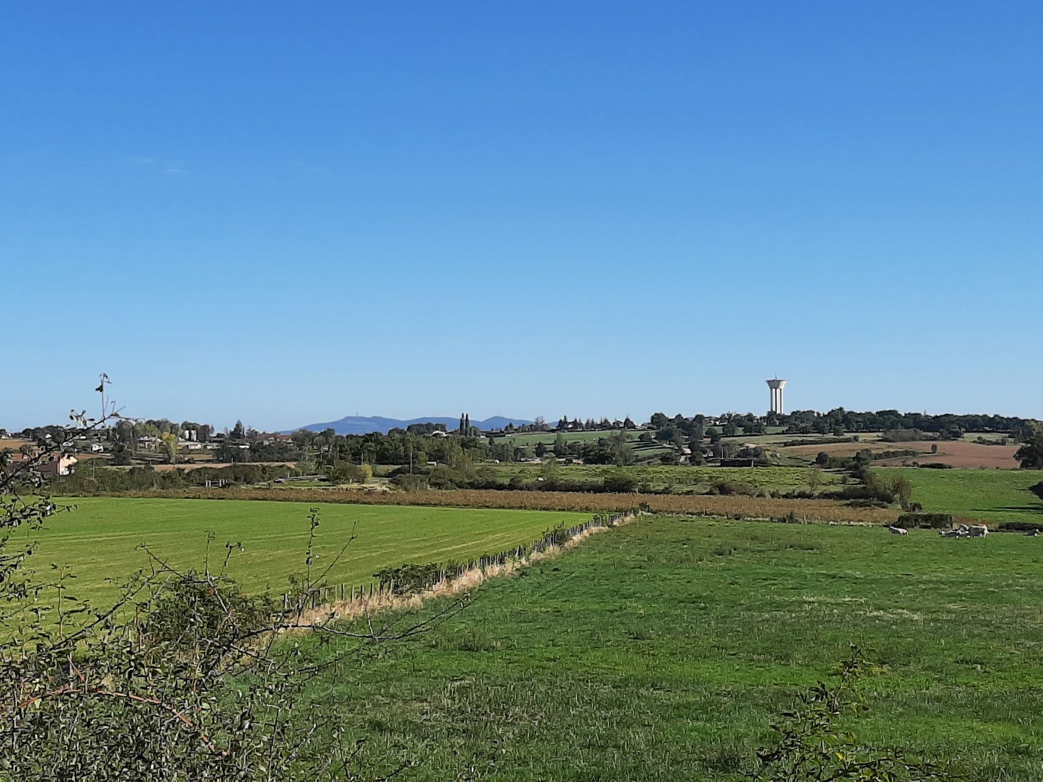 Vue sur monts d'Or