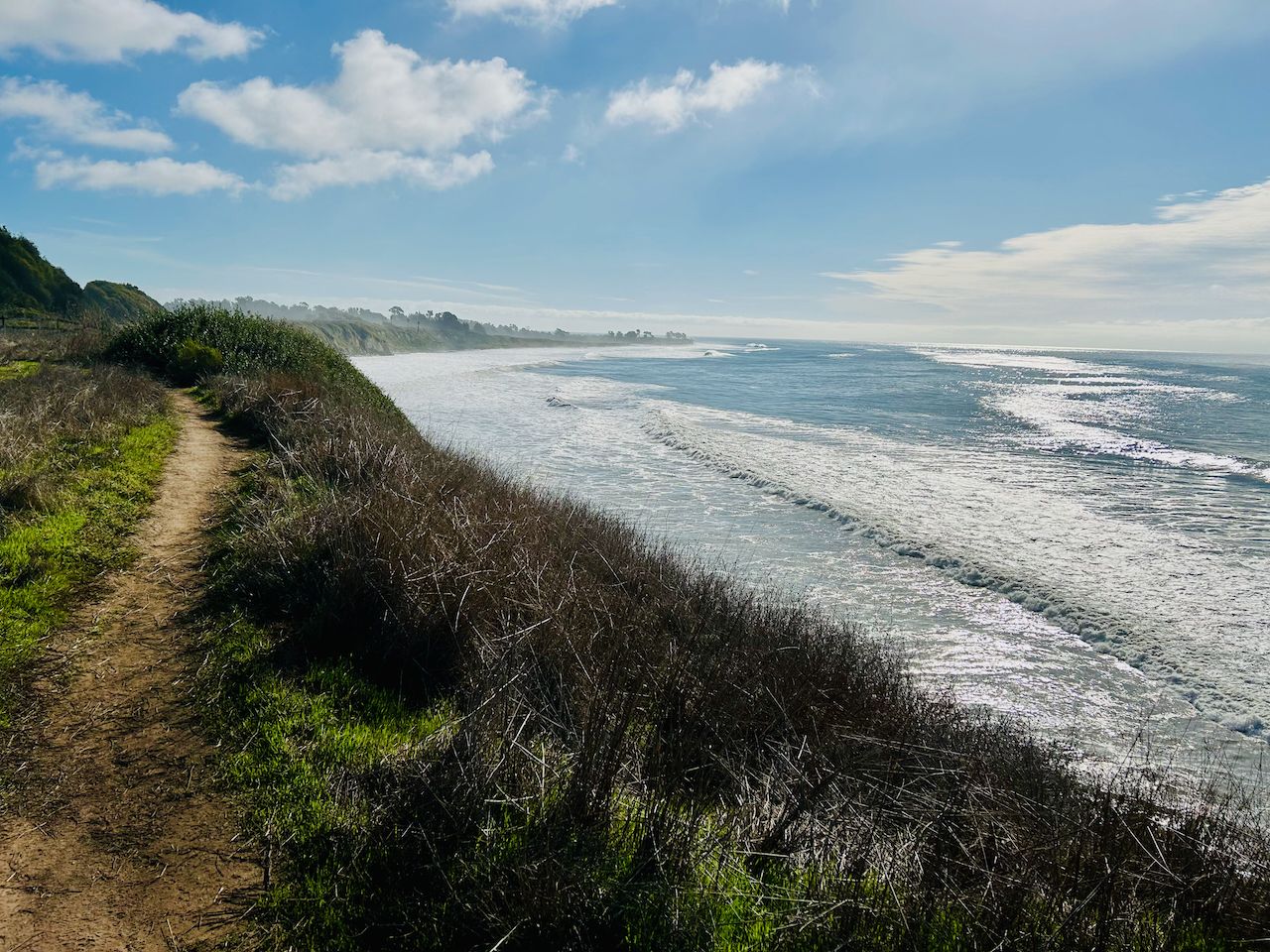 Dirt path on a grassy cliff overlooking a sunny, wavy ocean. - Ellwood Forest Park Loop
