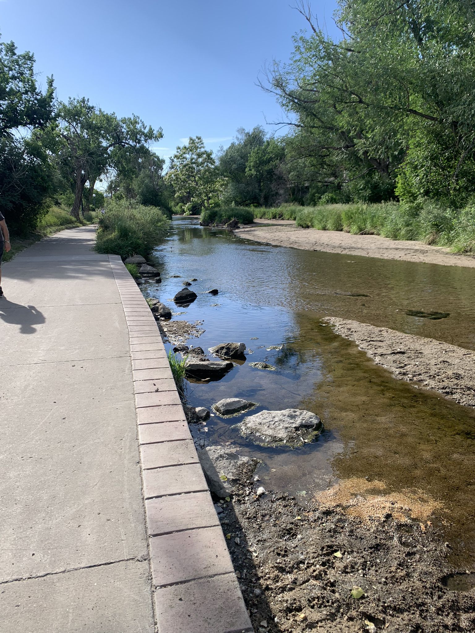 A river flows beside a paved walkway, with green trees and a person. - Four Mile Historic Park – Cherry Creek North Park loop from Glendale
