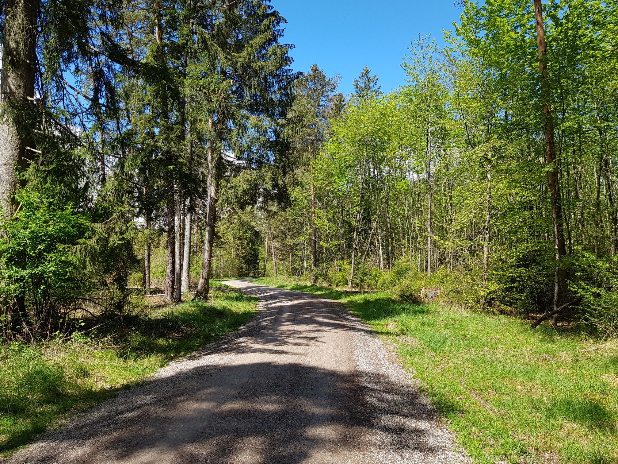 Mühlweg
