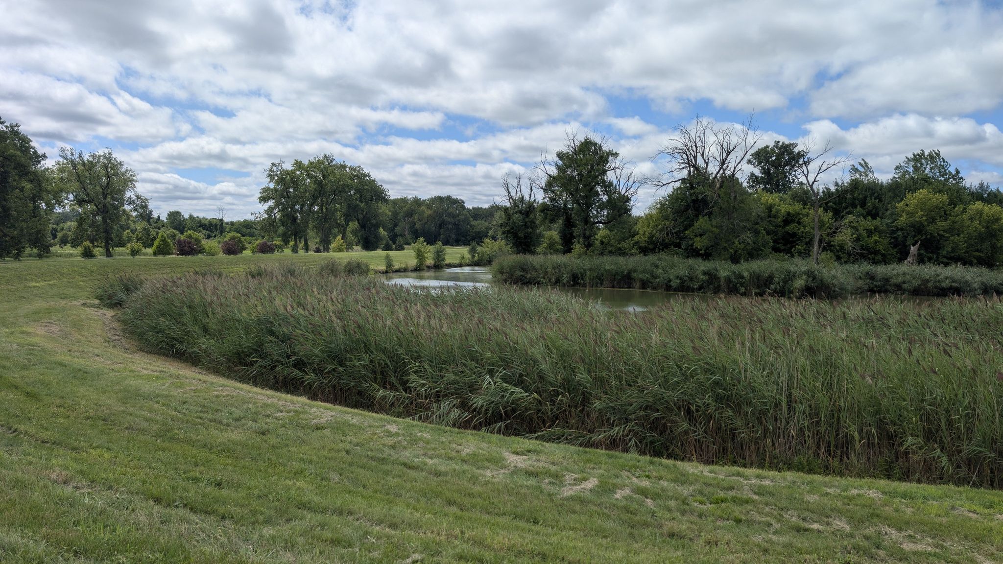 Lush green field beside a pond with tall reeds under a cloudy sky. - 18th Street Brewery loop from Hammond-Whiting