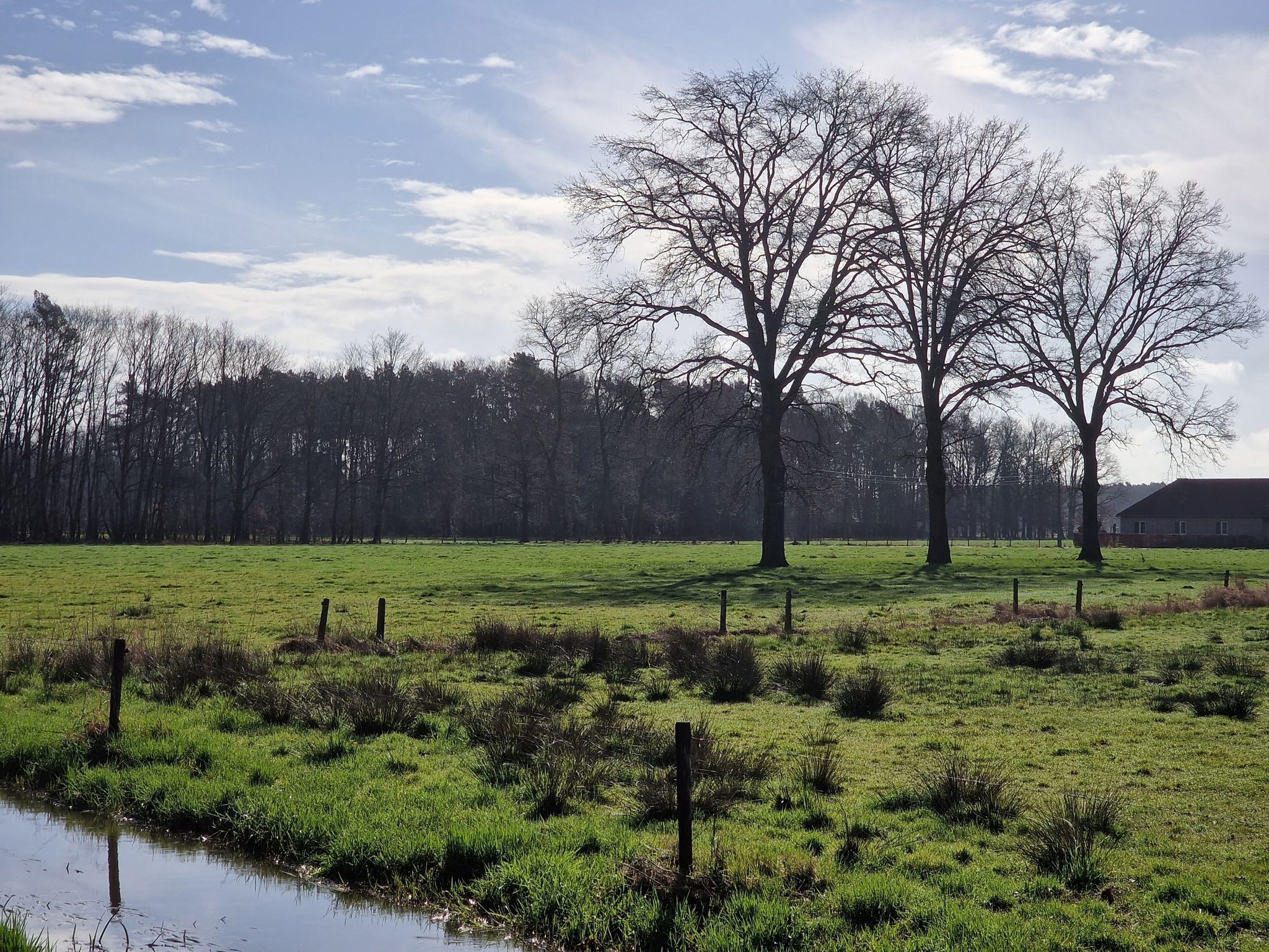Uitzicht weide