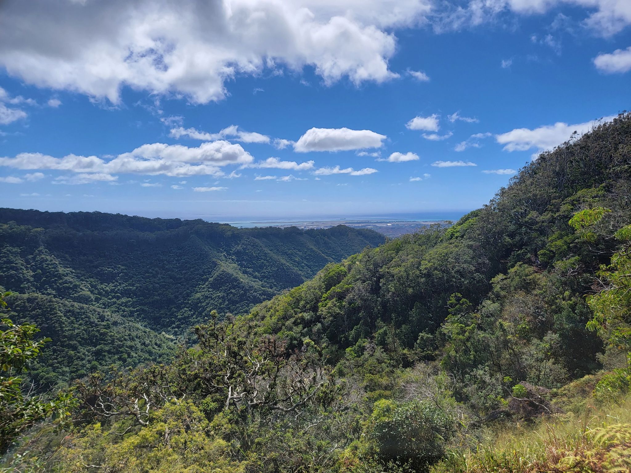 Lush green valleys and distant ocean under a bright blue sky with clouds. - Aiea Loop Trail