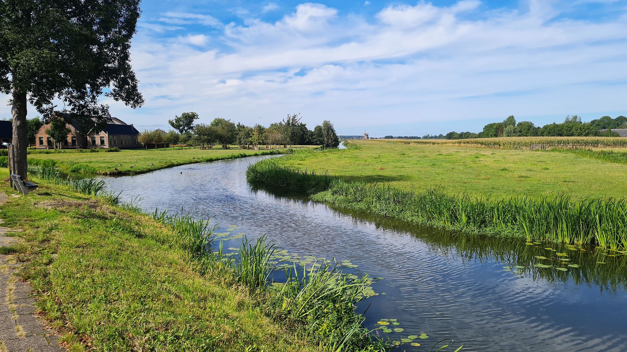 Polderlandschaft zwischen Leiden und Gouda