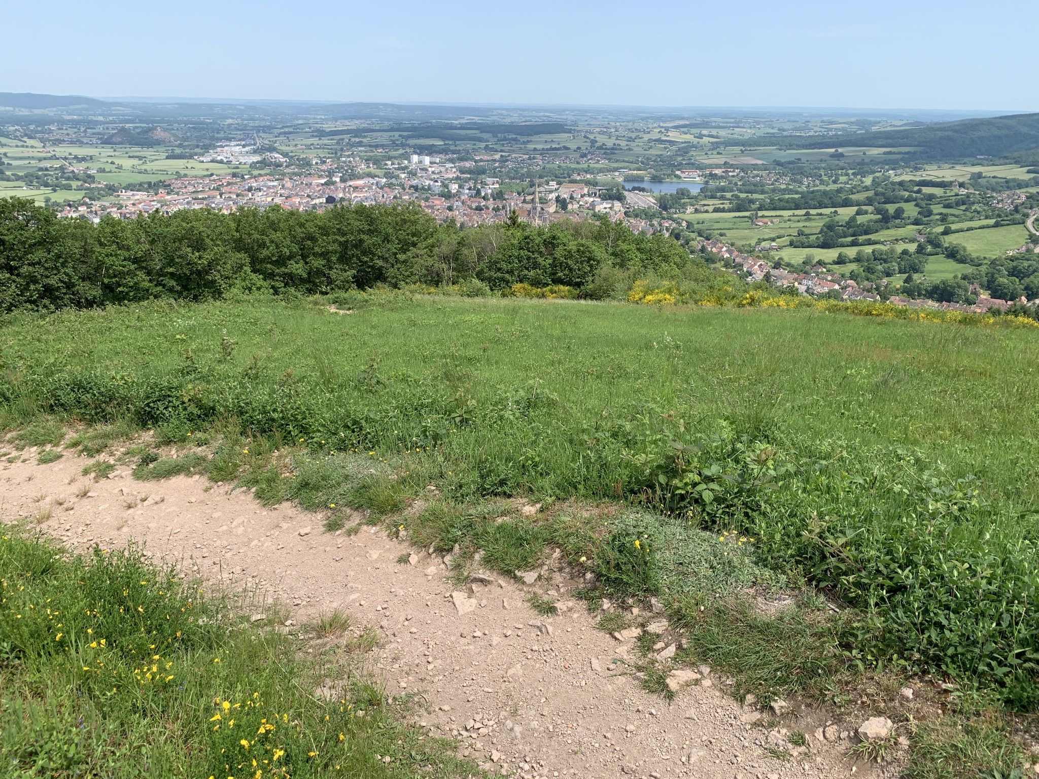DownTrail