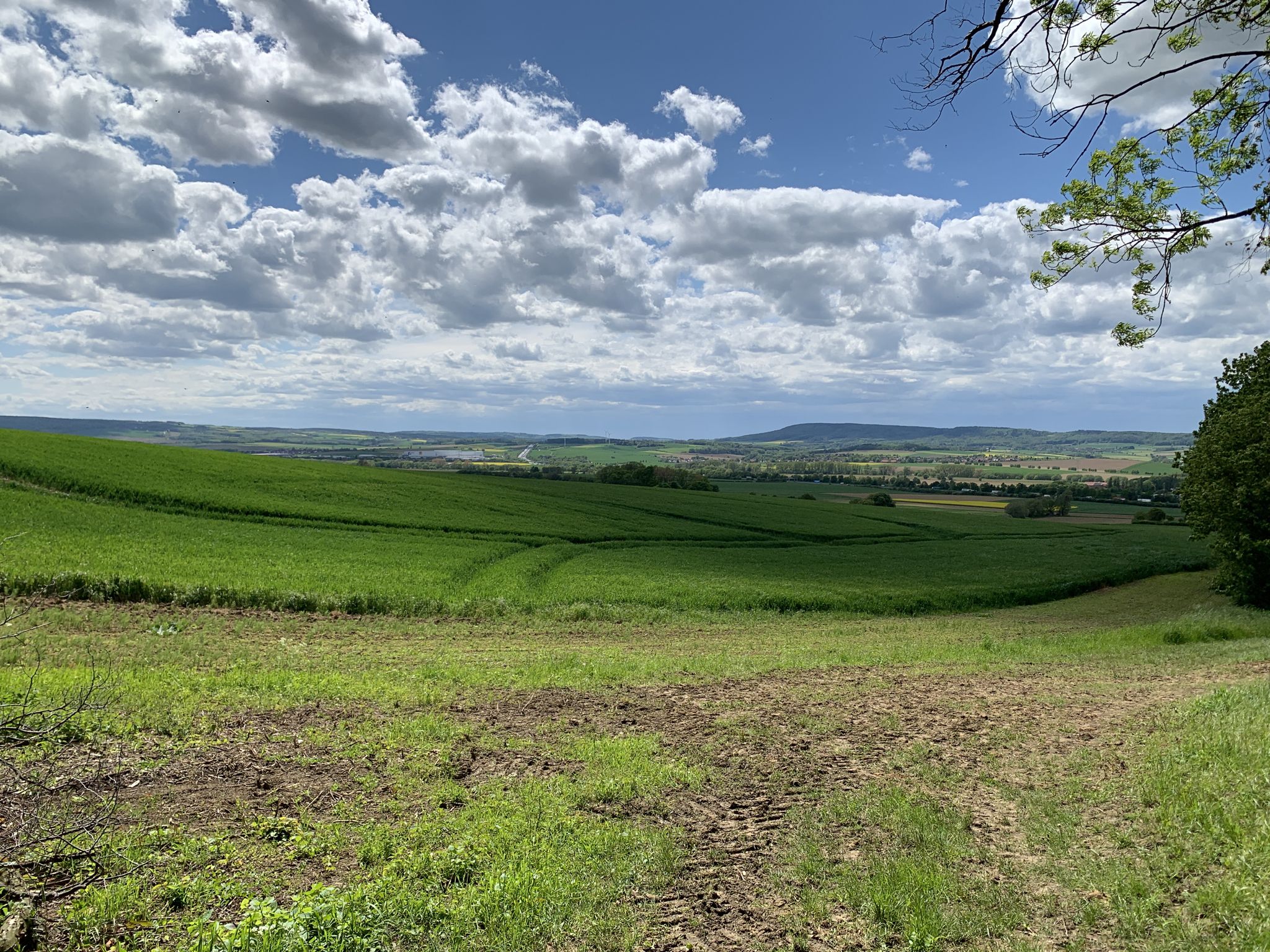 Schöner Ausblick 