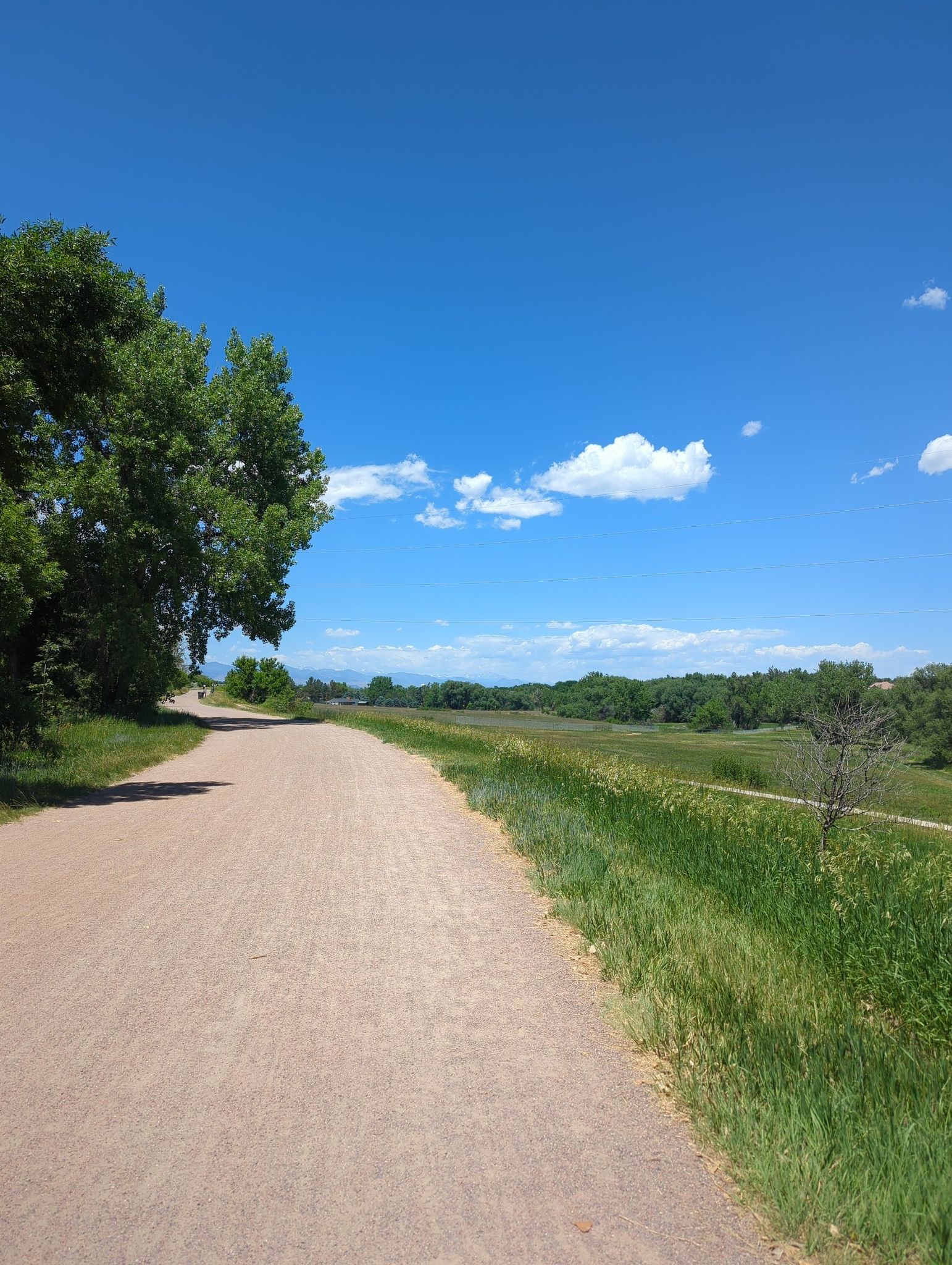 A dirt path runs alongside a lush green field under a bright blue sky. - deKoevend Park Trail Loop