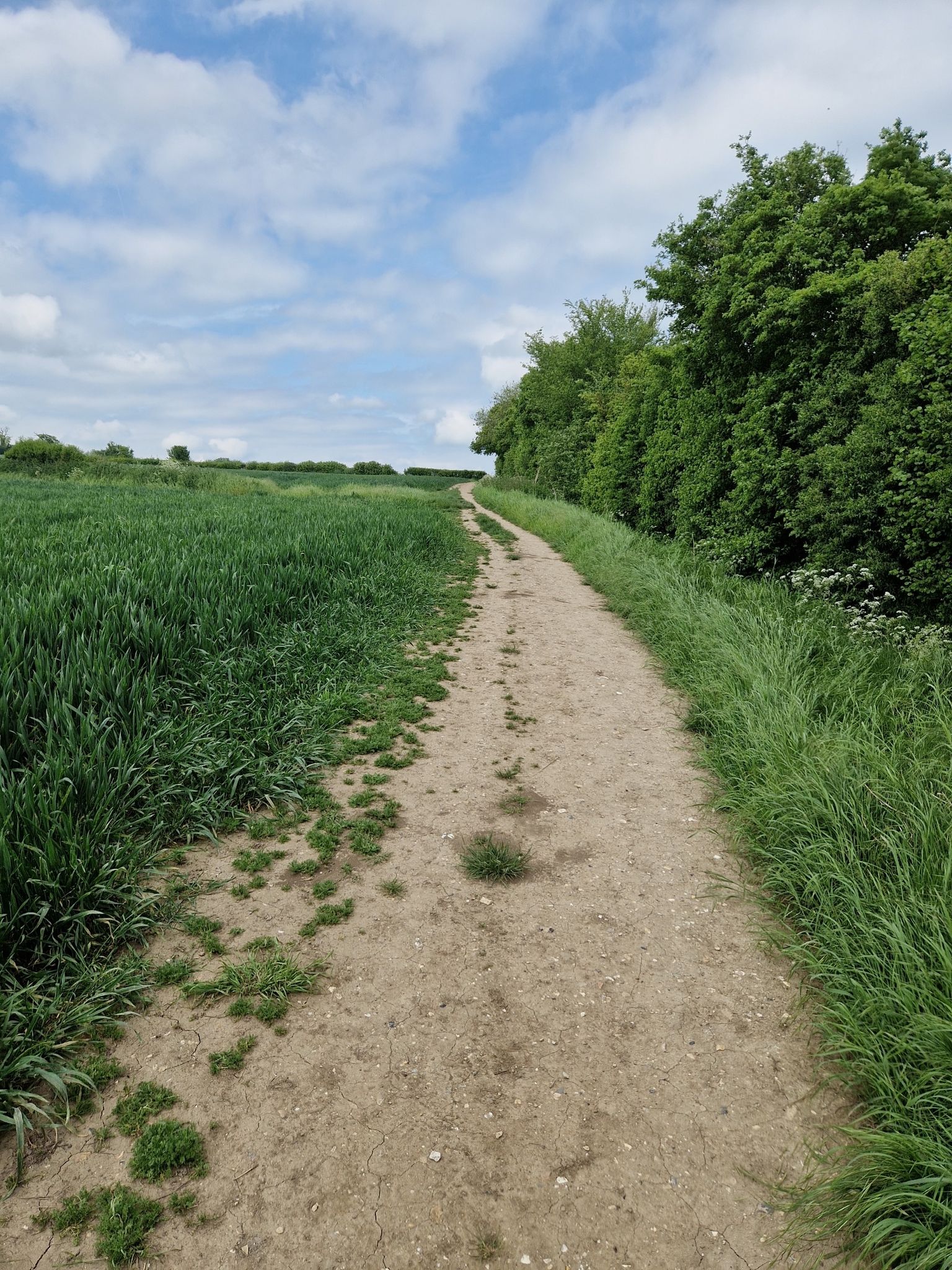 Trail back into Saffron Walden