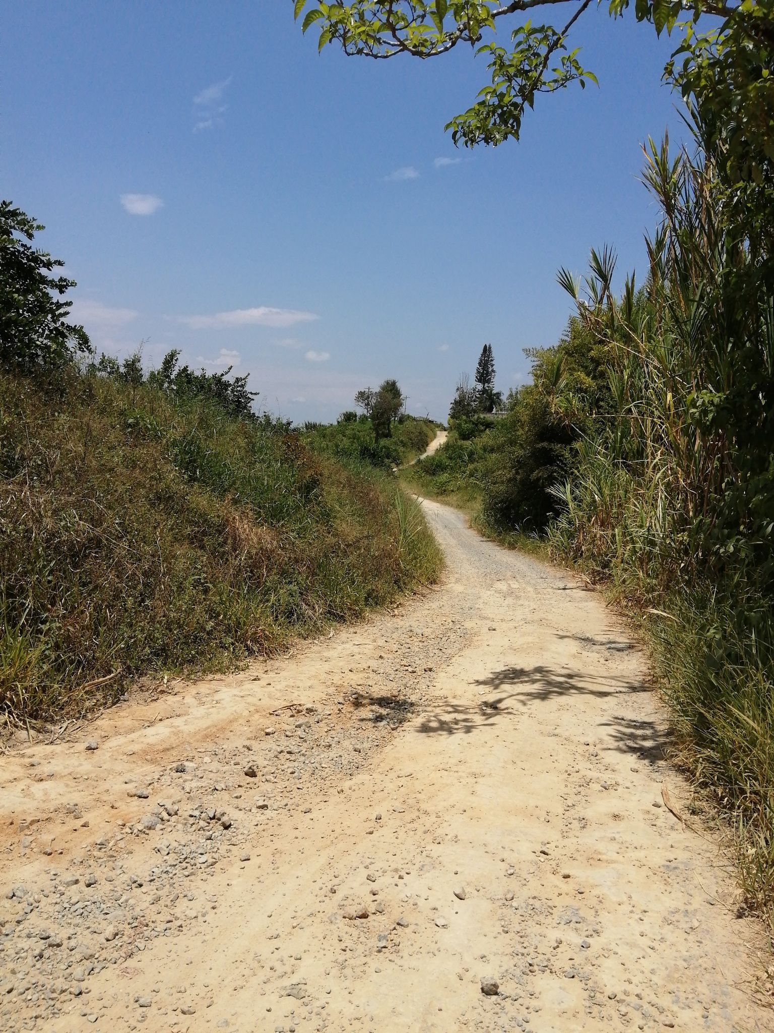 cross country quimbaya