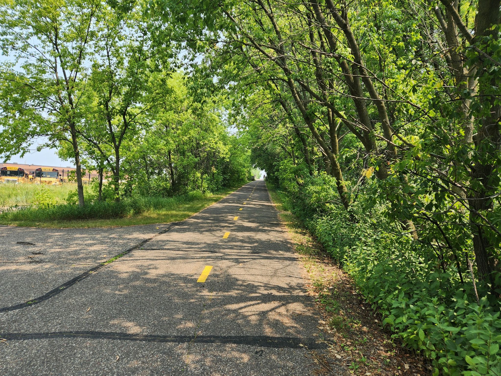 A paved path with yellow lines winds through lush green trees on a sunny day. - Gateway State Trail