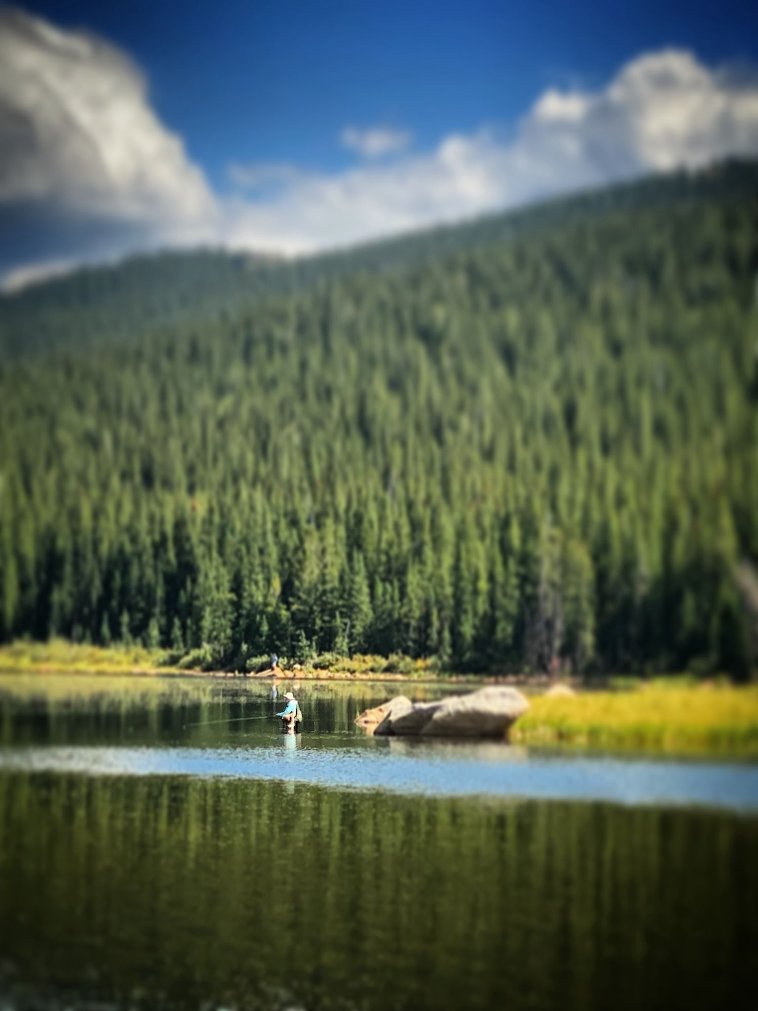 Person fishing in a lake with a forested mountain in the background on a sunny day. - Lincoln Lake via Resthouse Meadows Trail