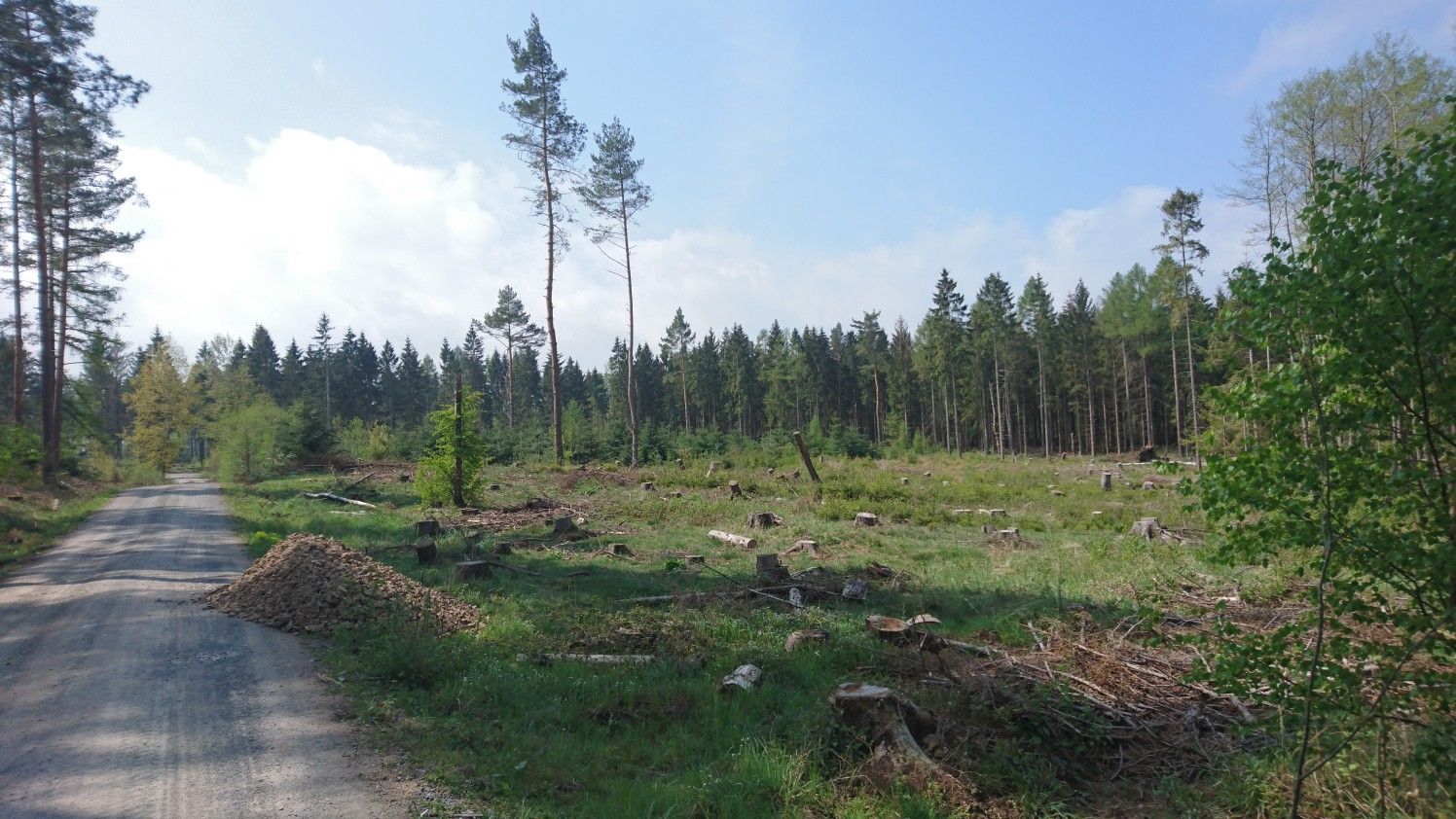 gatterweg
