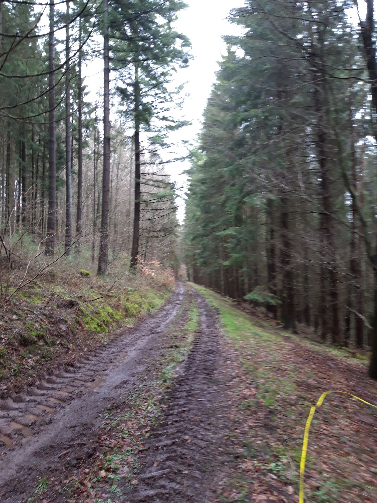 wandern 