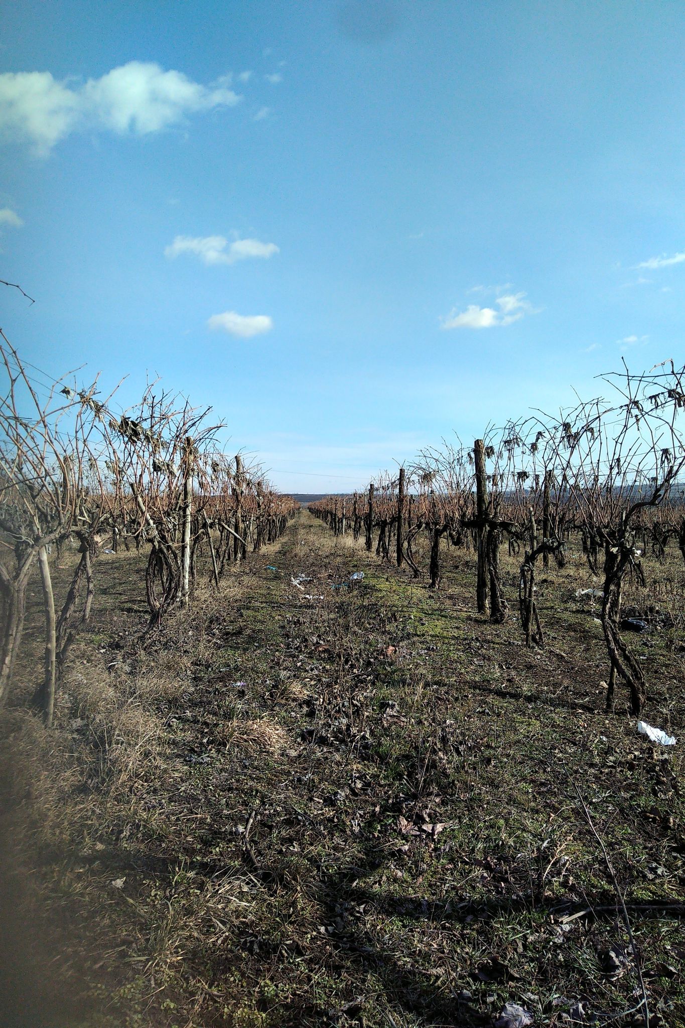weinweinwein