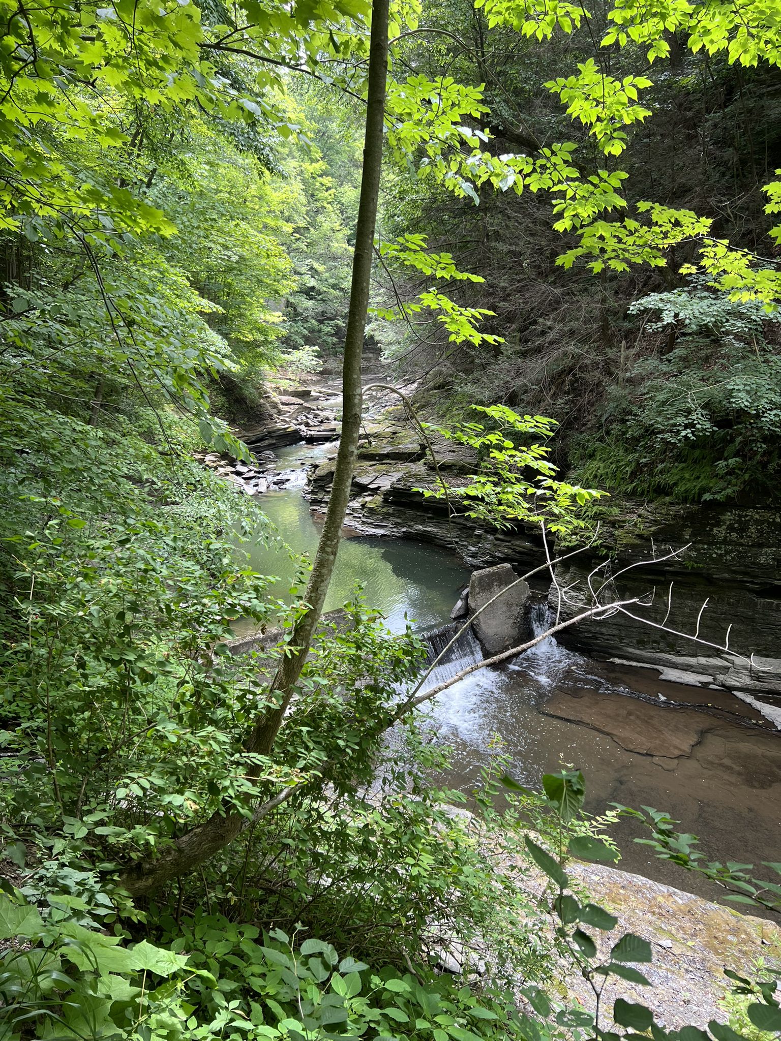 Shaded view of a narrow stream winding through a lush green, rocky gorge. - Potter's Falls via Six-Mile Creek Trail