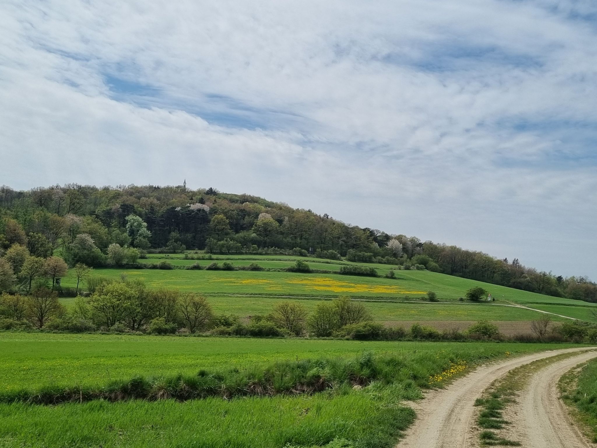 im Hintergrund der Michelberg mit Kapelle