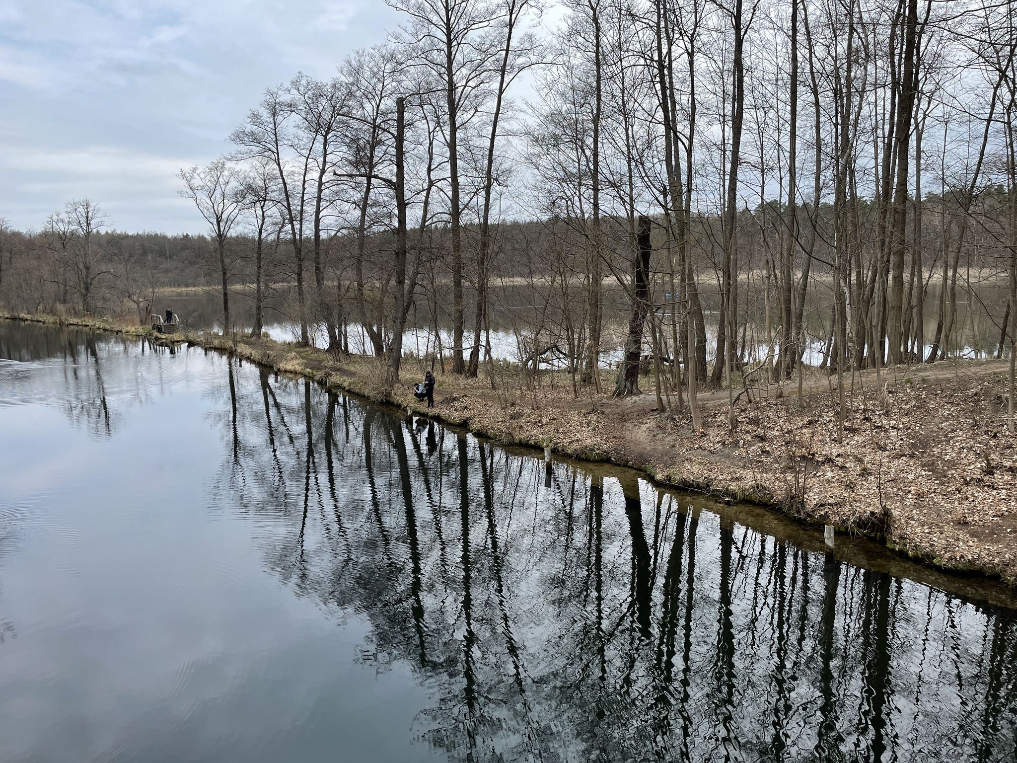 Damm zwischen Löcknitz und Wupatzsee