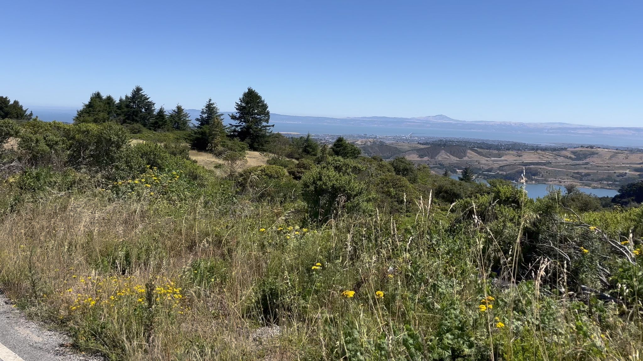Overlook of grassy hills, trees, and distant water under clear sky. - Francis Beach (Half Moon Bay) – Egg Rock — Devil's Slide loop from Pacifica