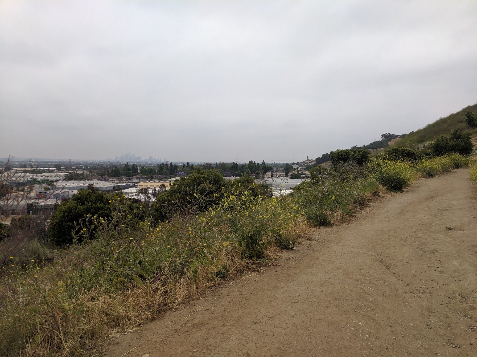 A dirt path winds along a brush-covered hillside overlooking an industrial area. - Baldwin Hills loop from NPR West