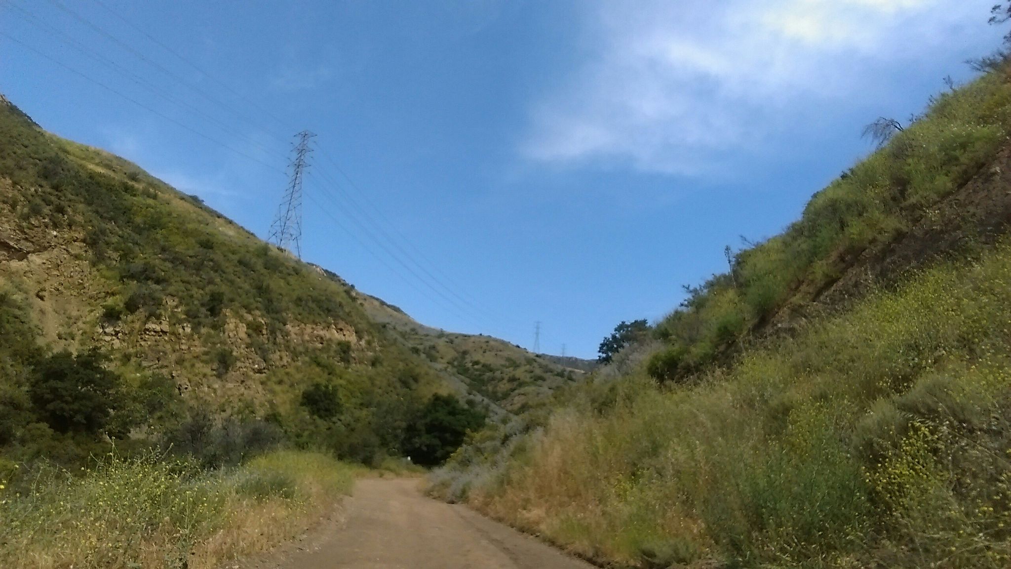 A dirt road passes through a green valley with a tall power line tower. - Black Star Canyon Falls Trail