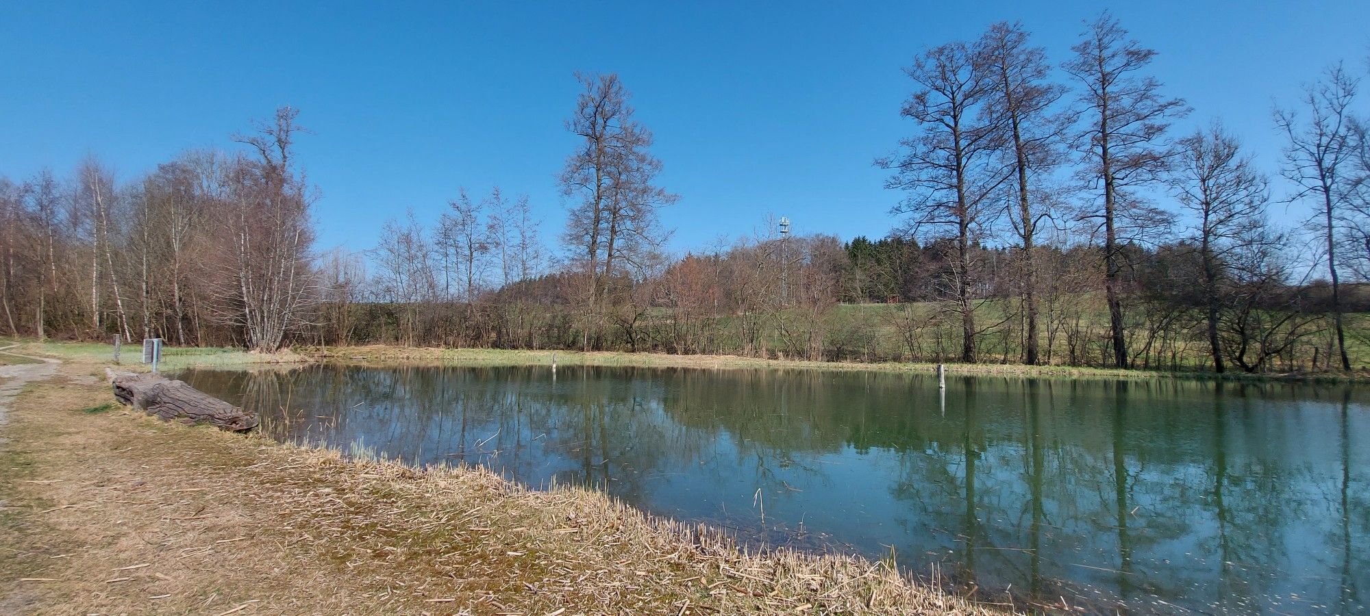 Holzmühleweiher