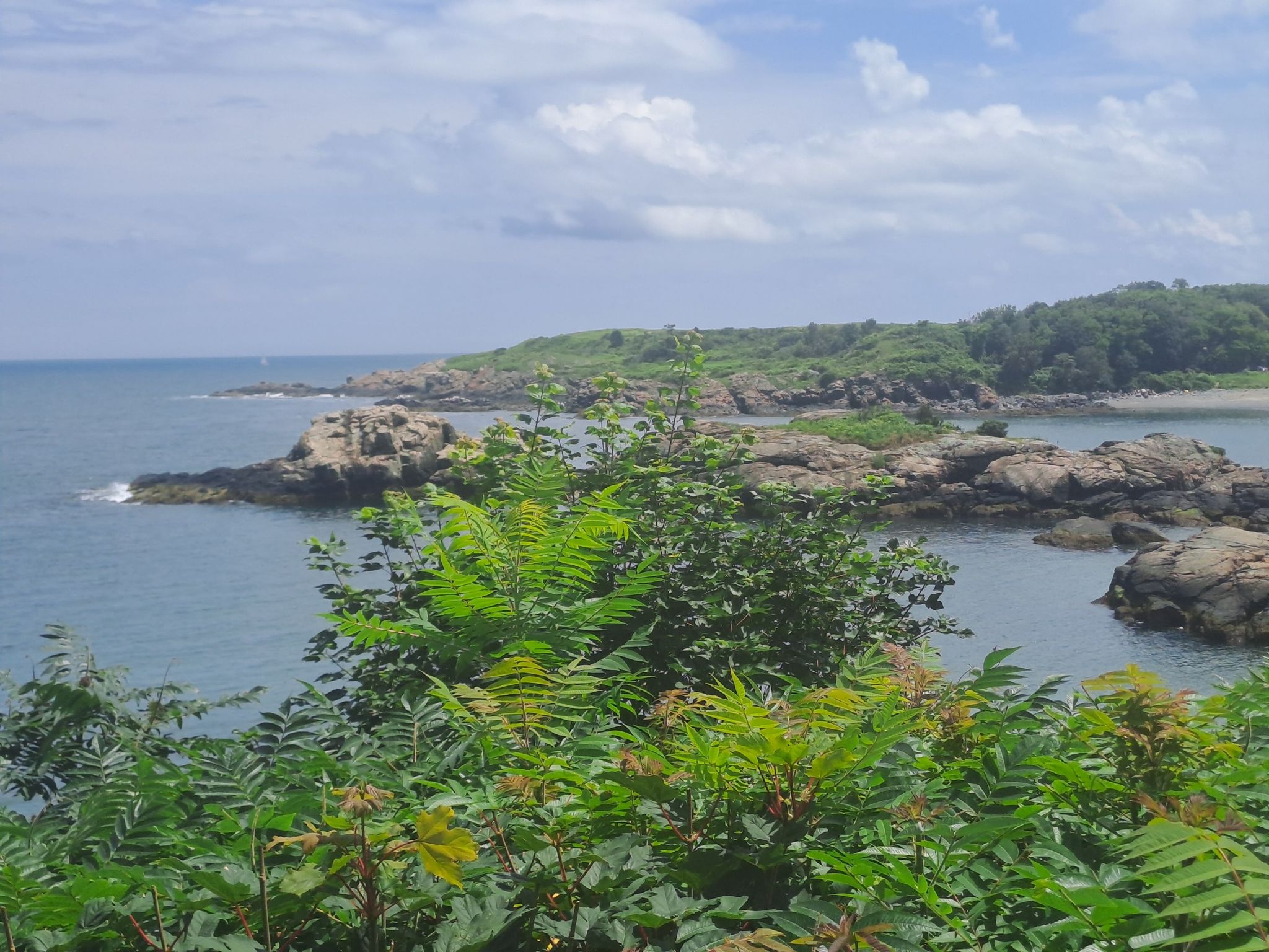 Lush green foliage frames a rocky coastline and calm ocean under a cloudy sky. - Nahant Island & Marblehead loop from Lynn