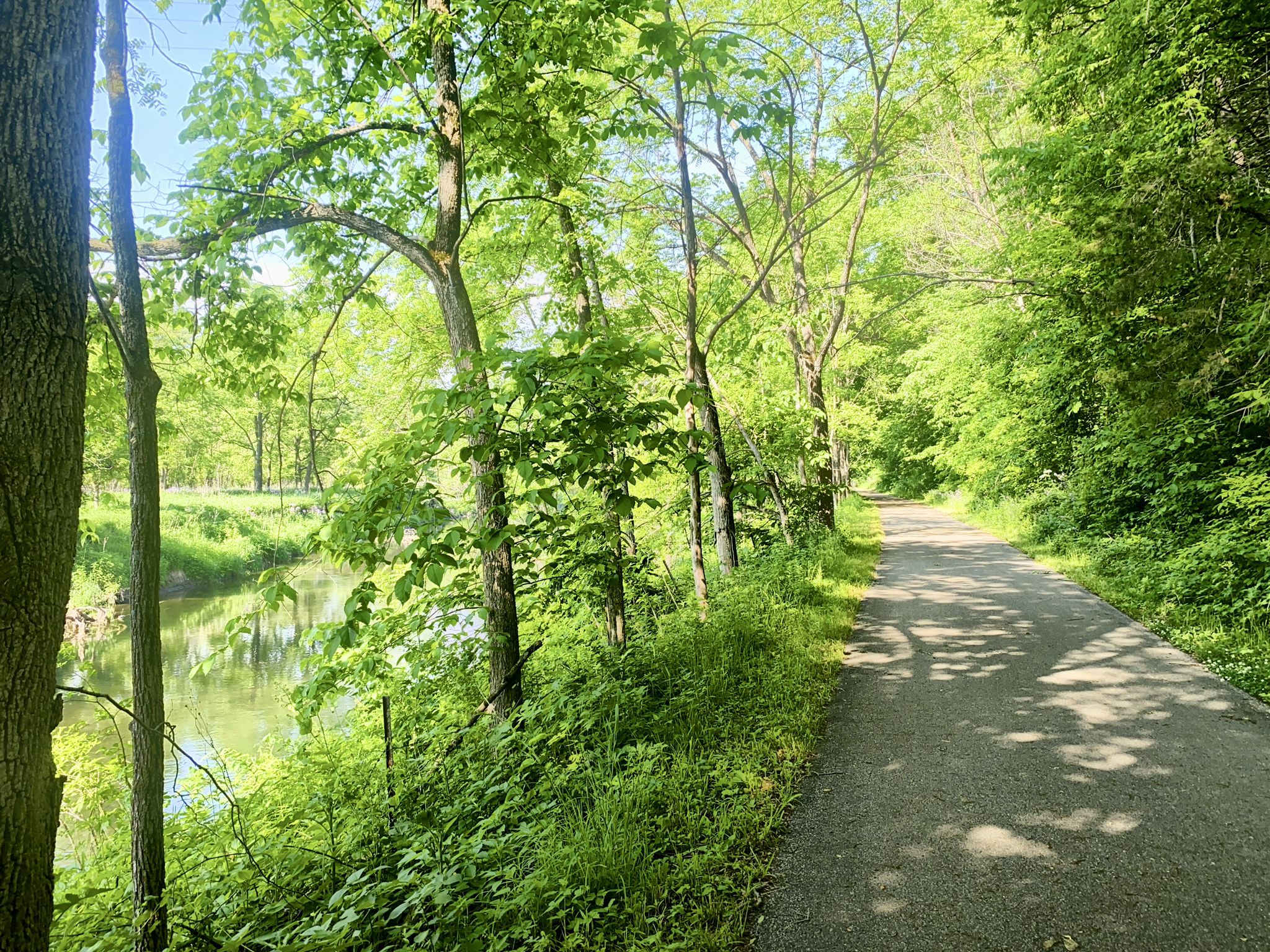 Paved path next to a calm river, surrounded by lush green trees. - Bike loop from South Branch Root River